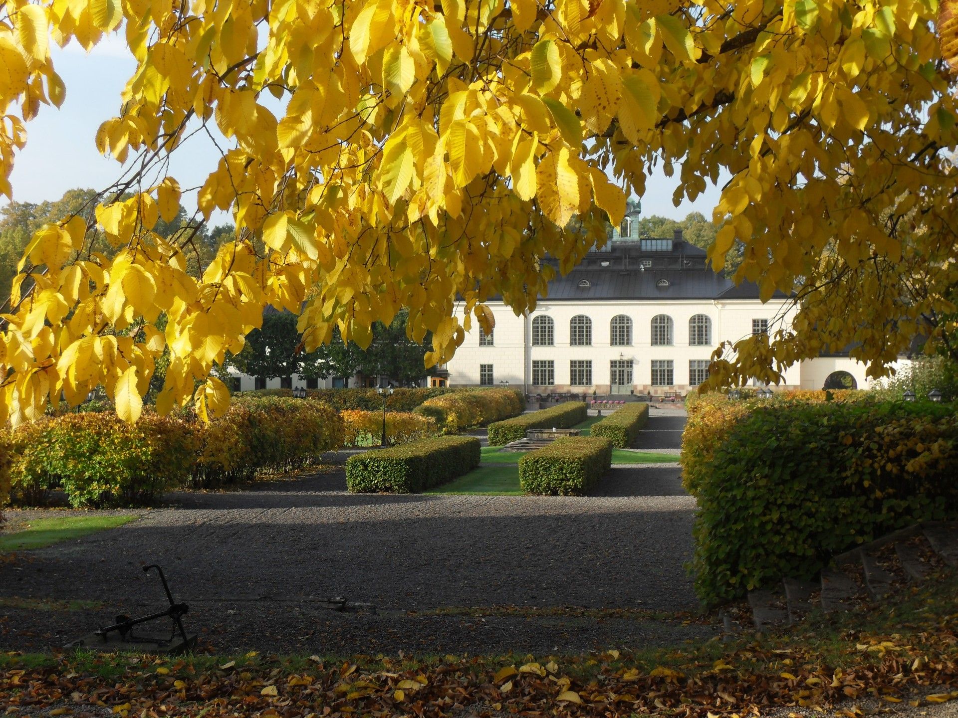 Ligging van het hotel