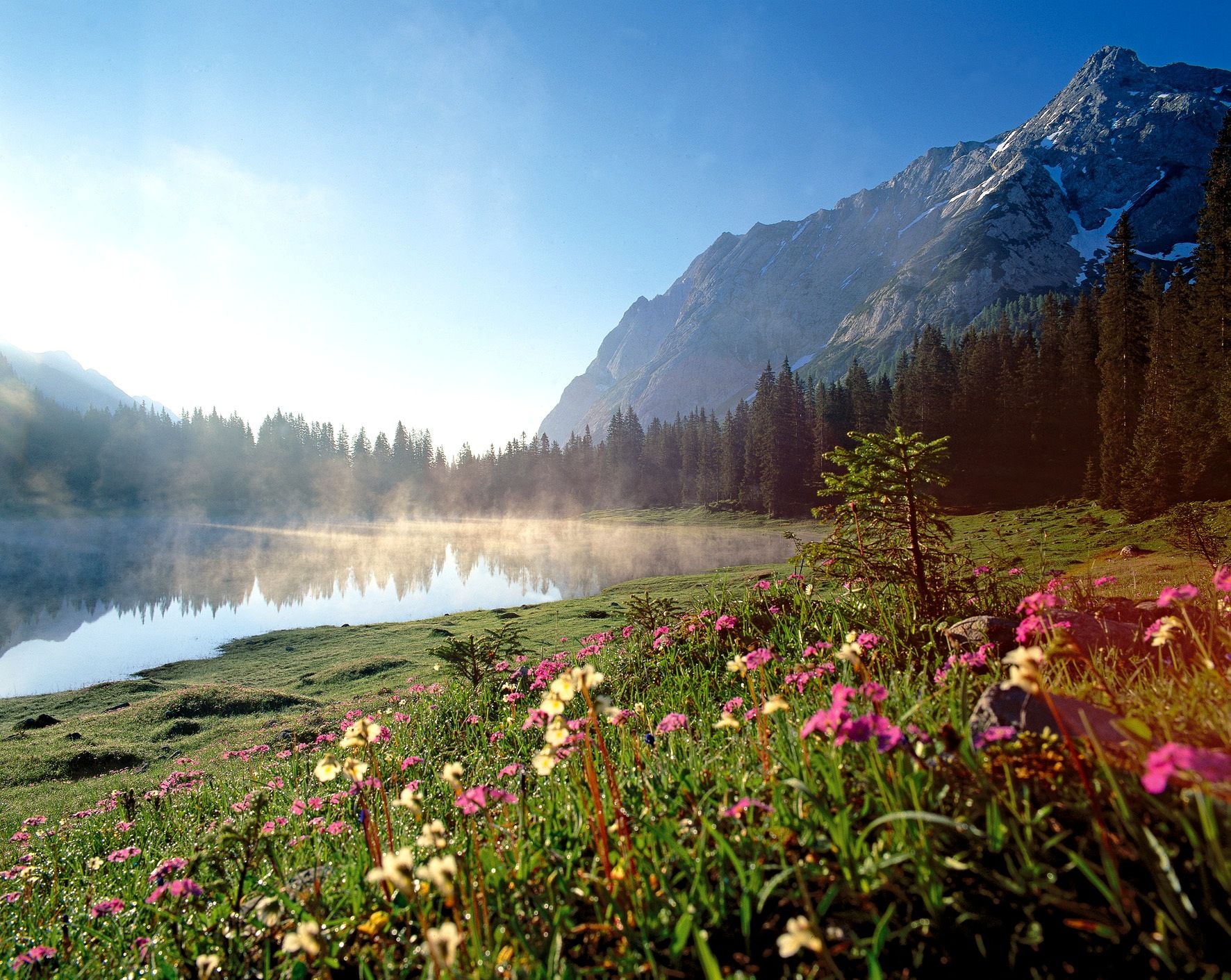 Ligging van het hotel