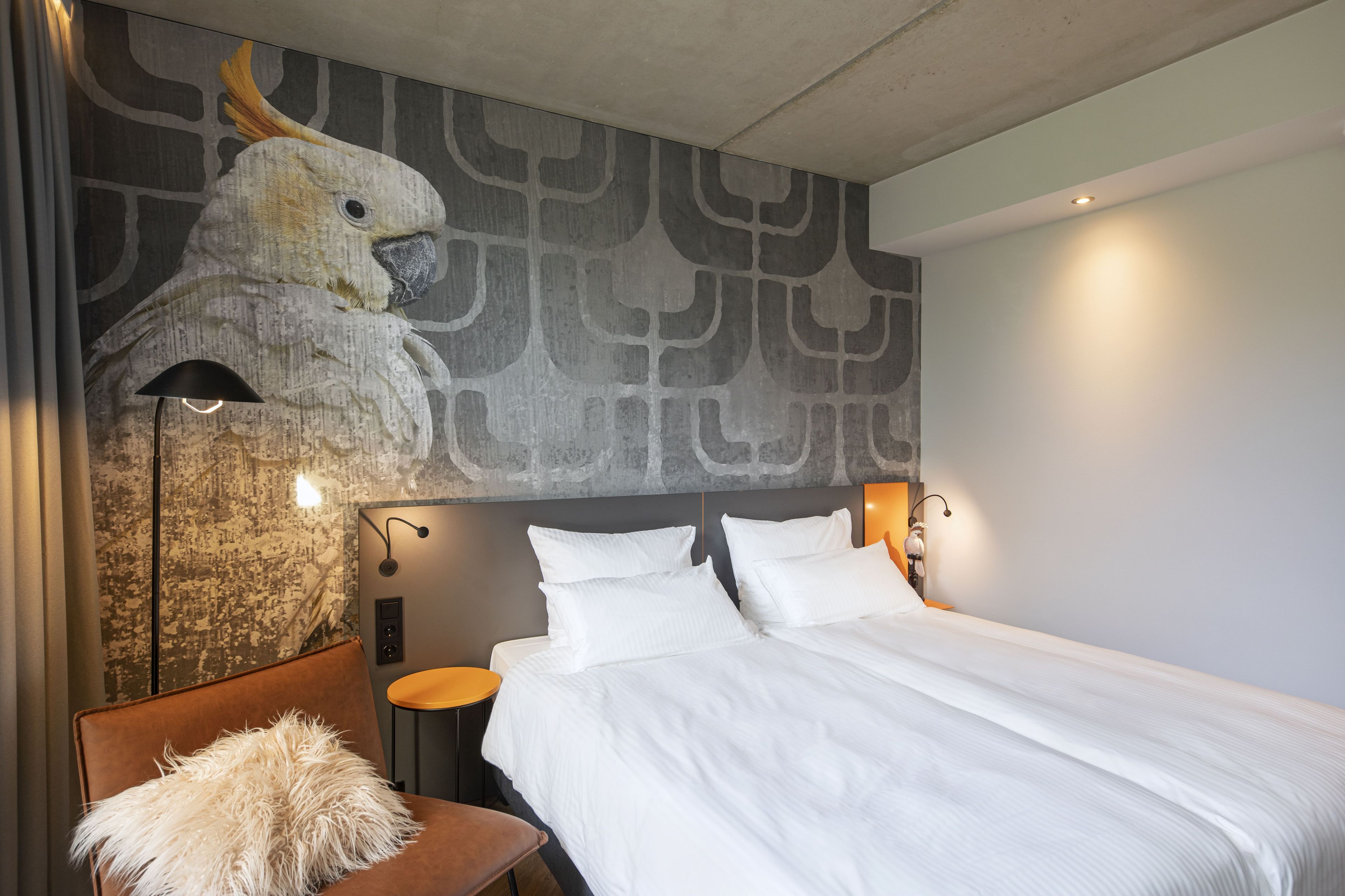 Kamer