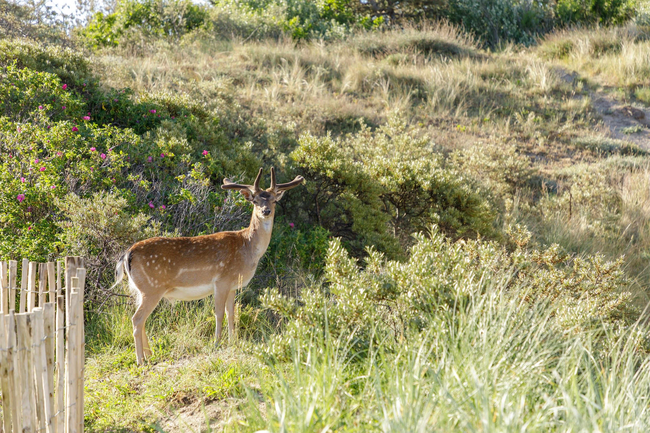 Ligging van het hotel