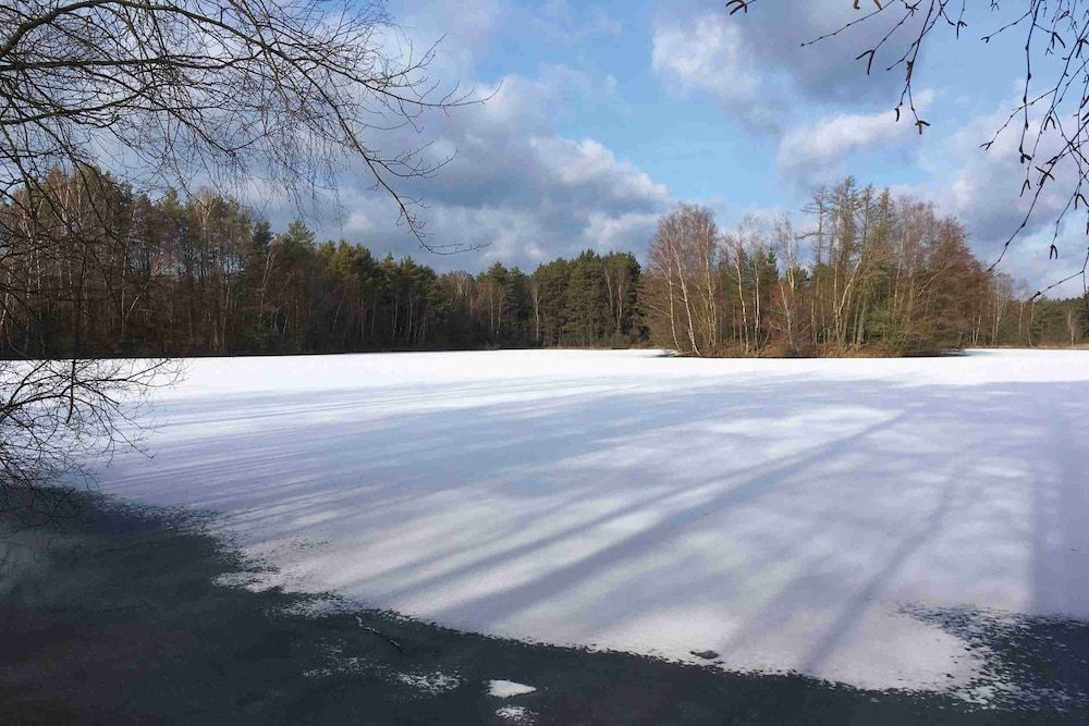 Algemeen