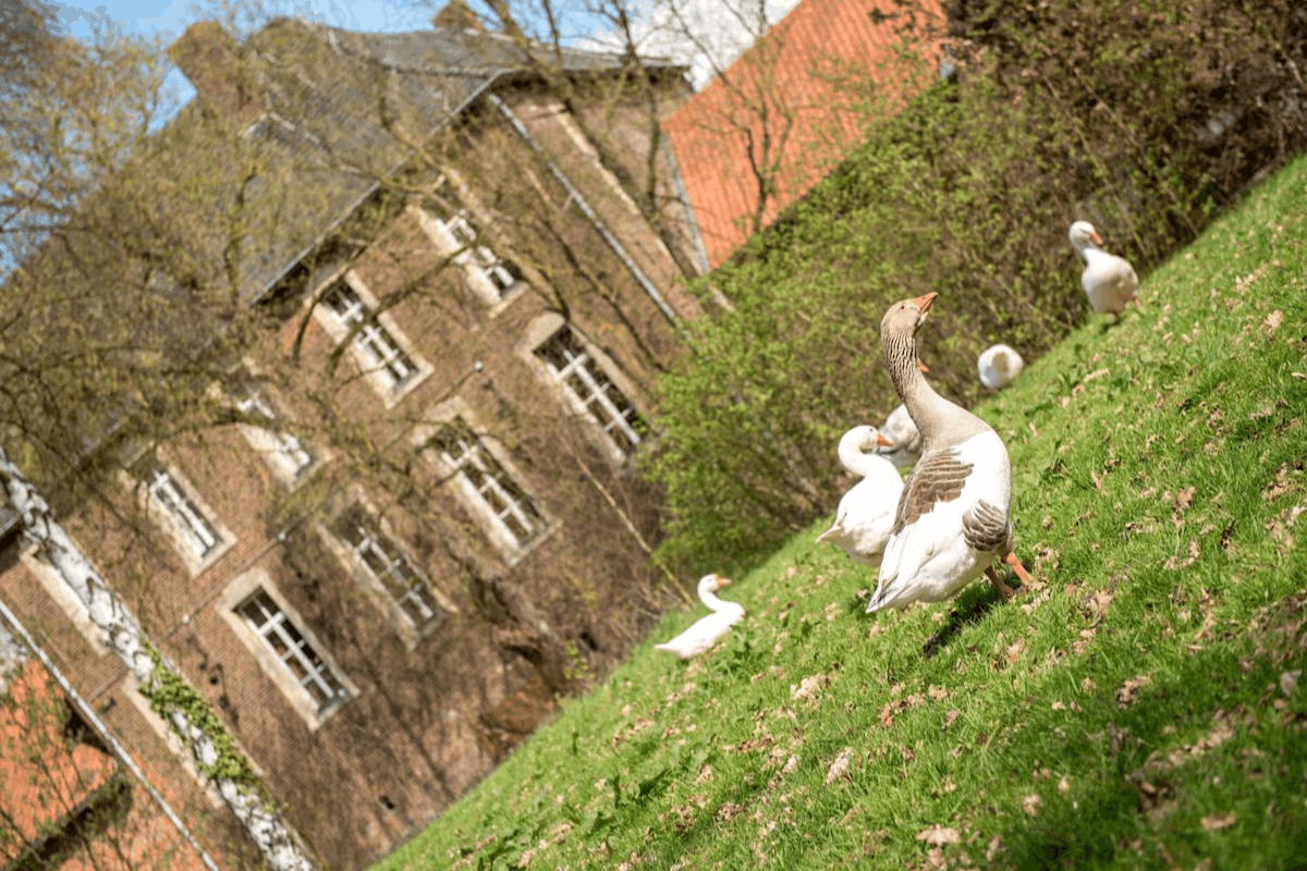 Ligging van het hotel
