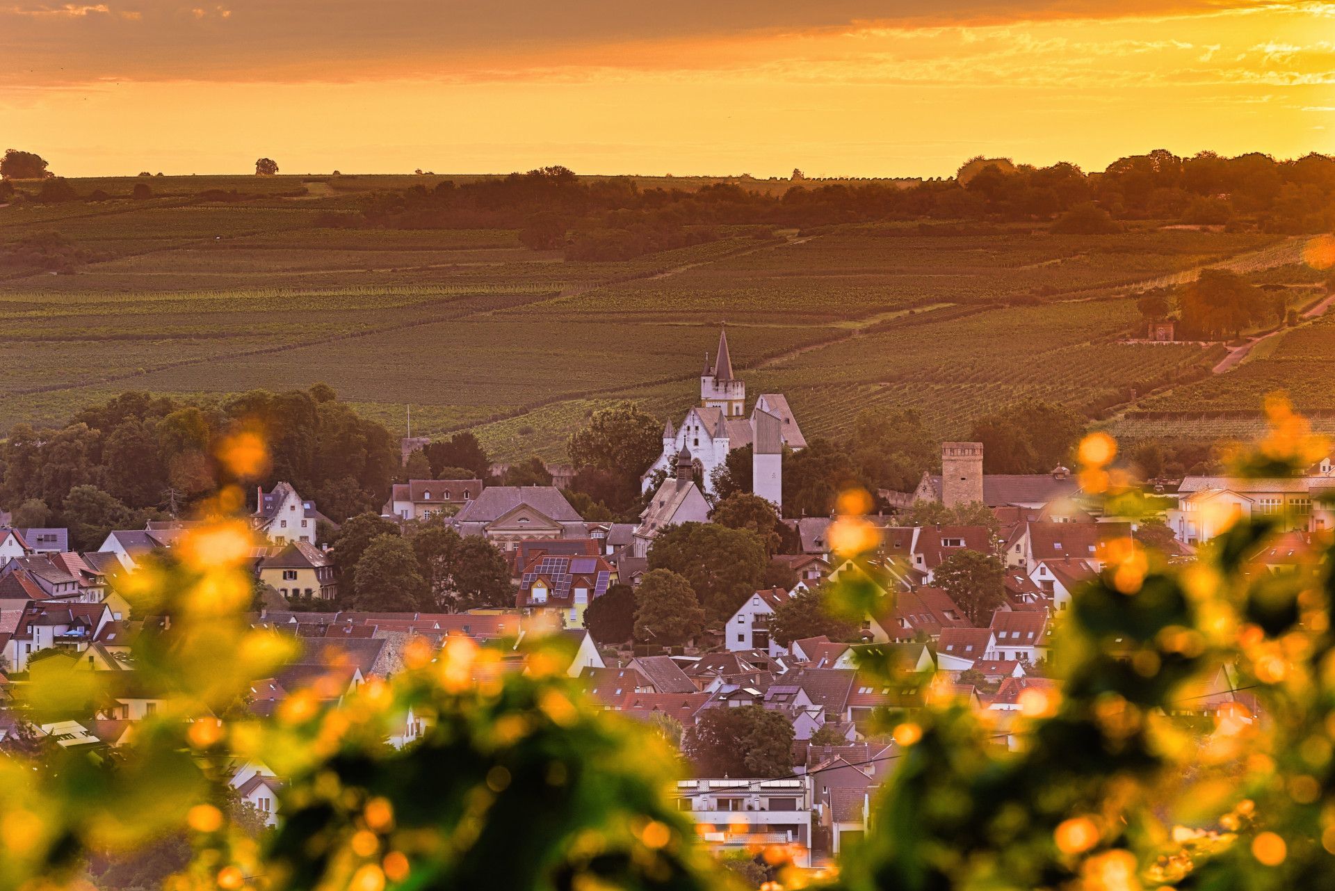 Ligging van het hotel