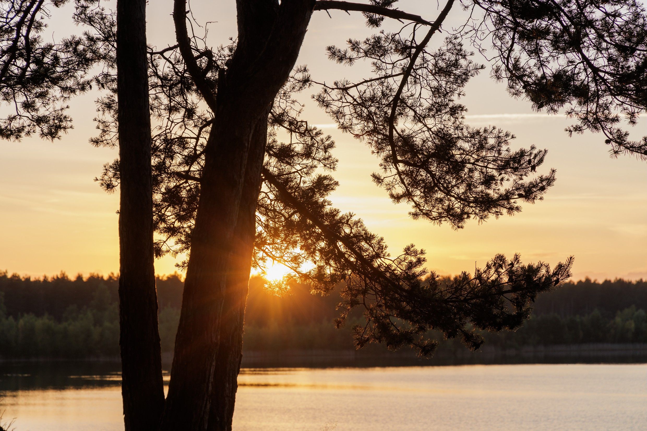 Ligging van het hotel