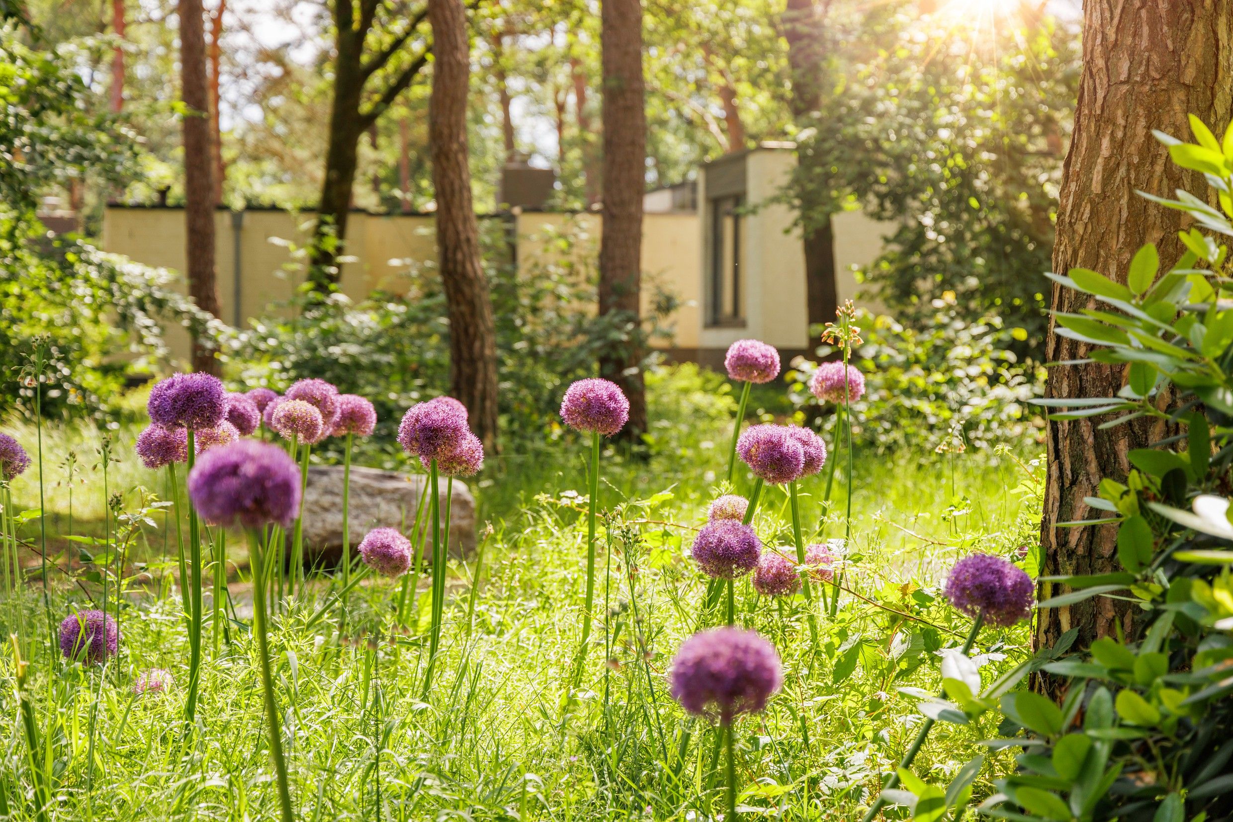 Ligging van het hotel