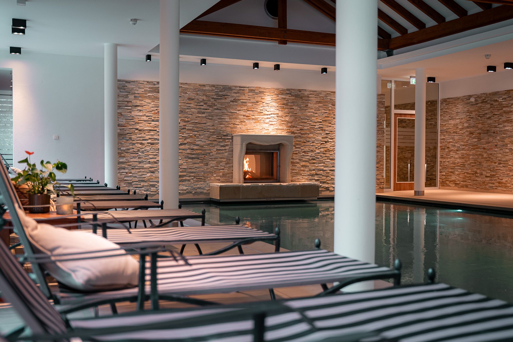 Wellness