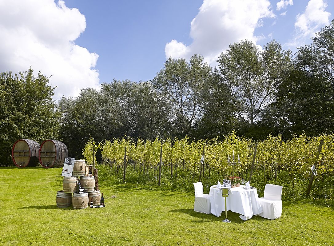Ligging van het hotel