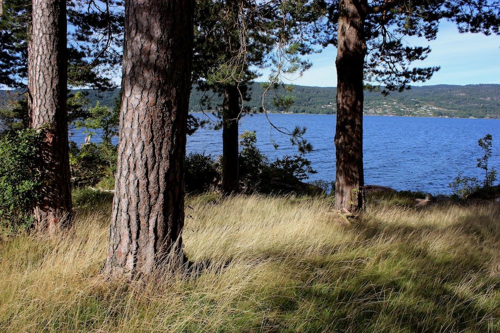 Algemeen