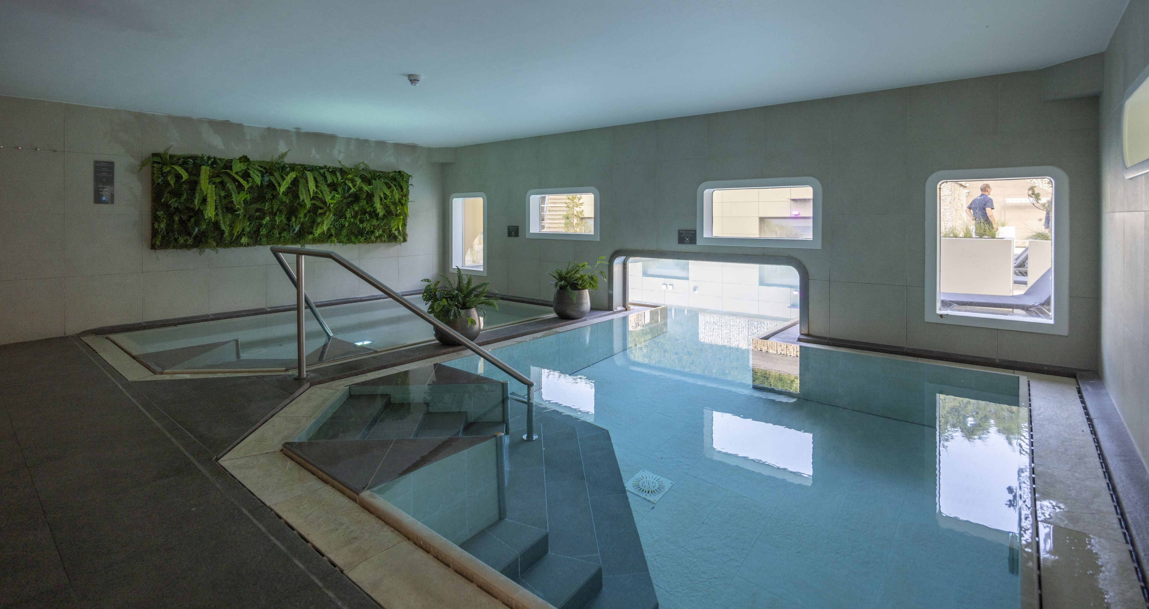 Wellness