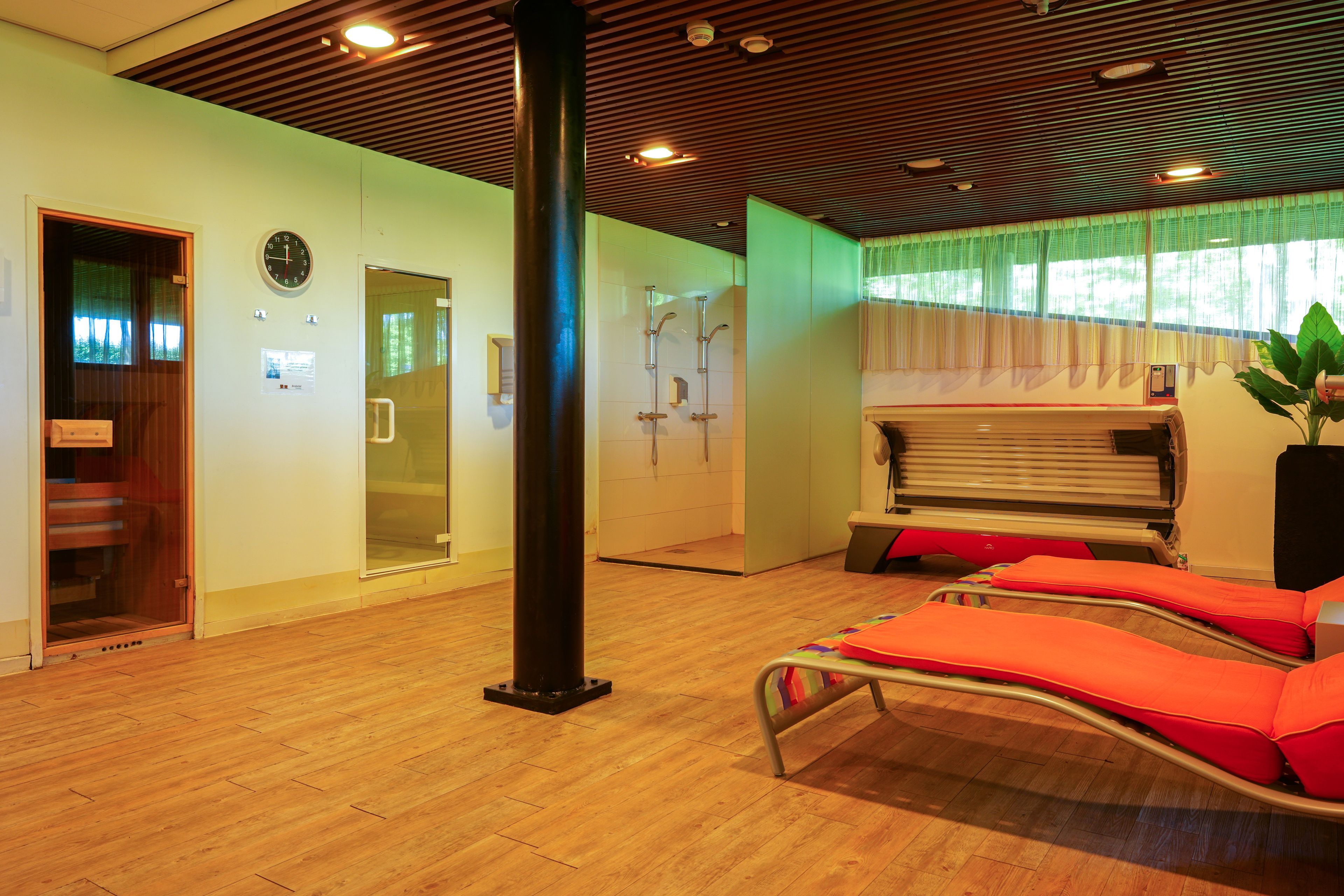 Wellness