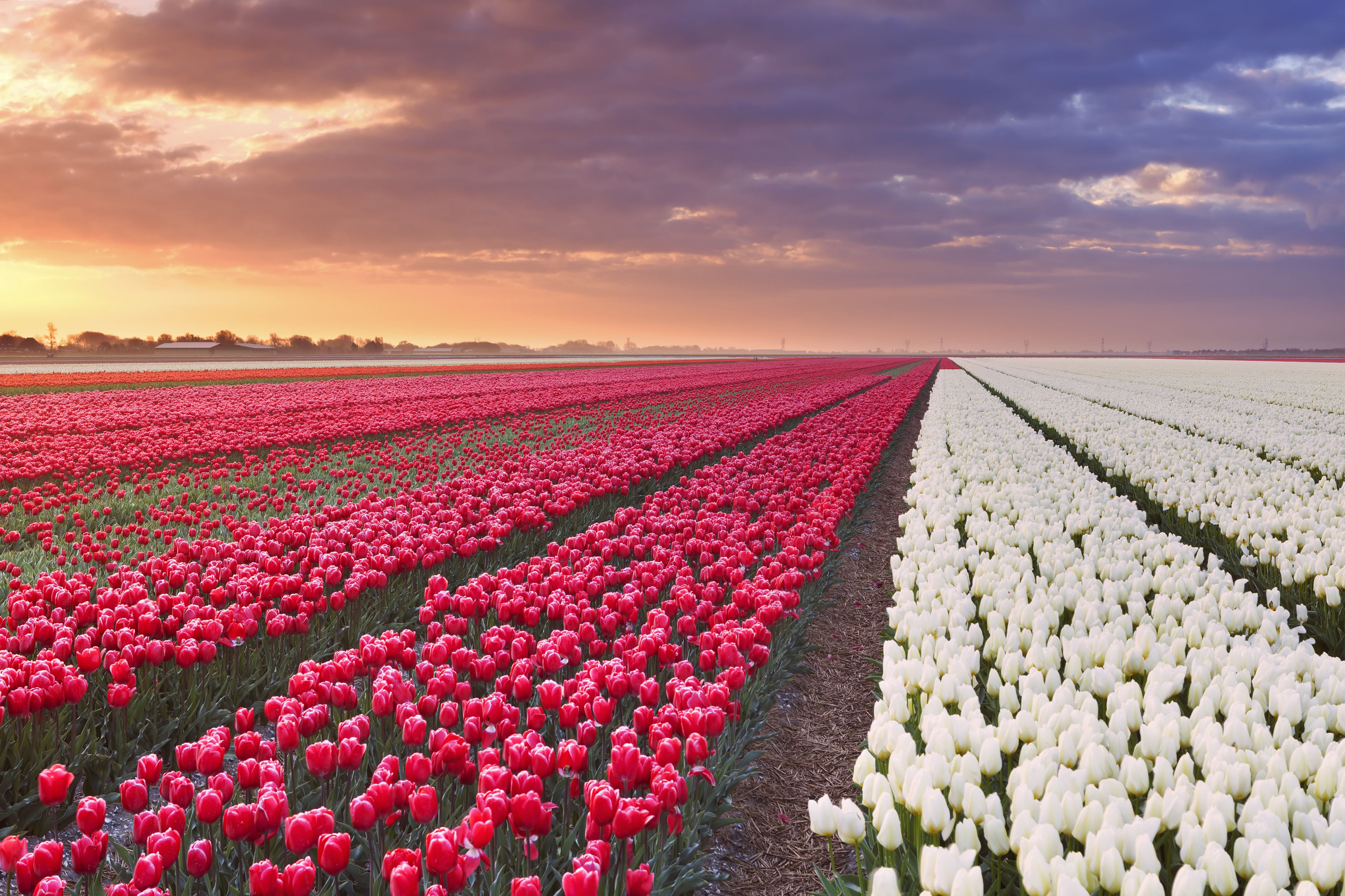 Ligging van het hotel