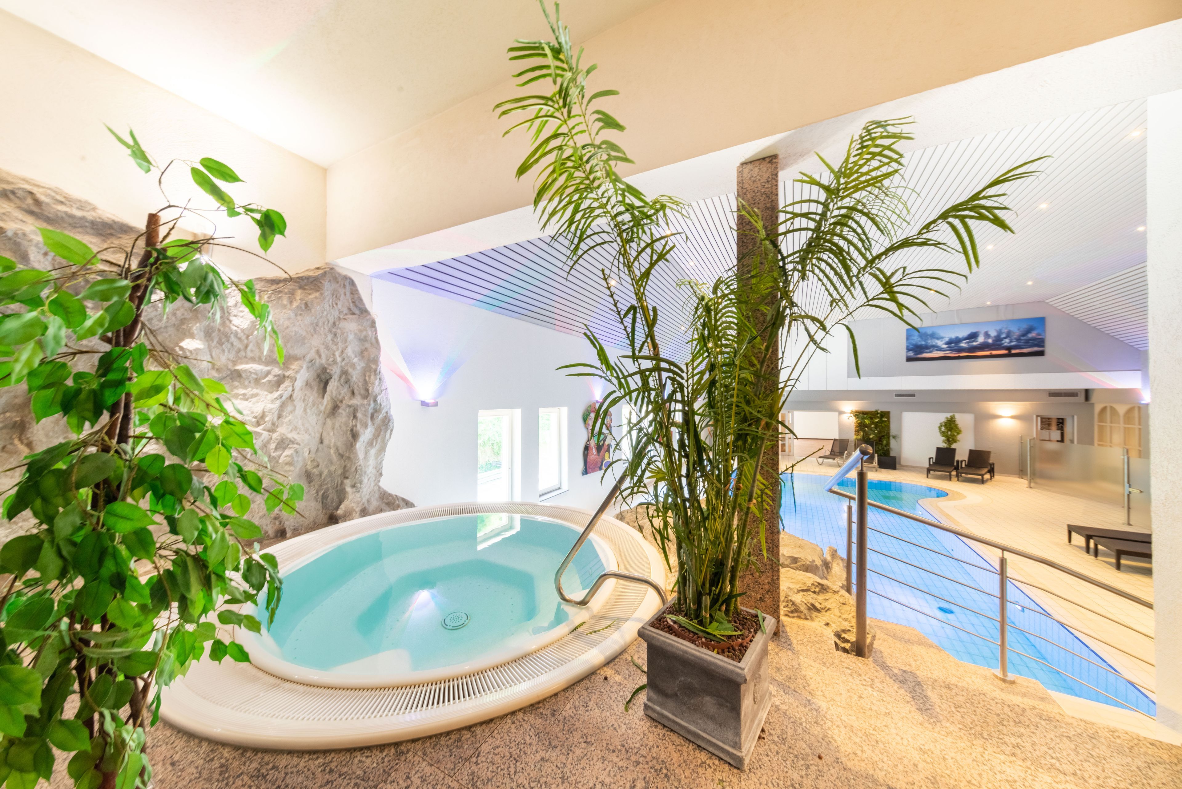 Wellness