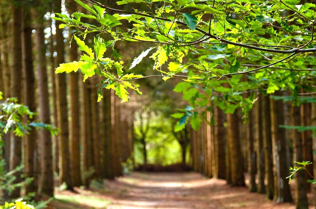 Ligging van het hotel