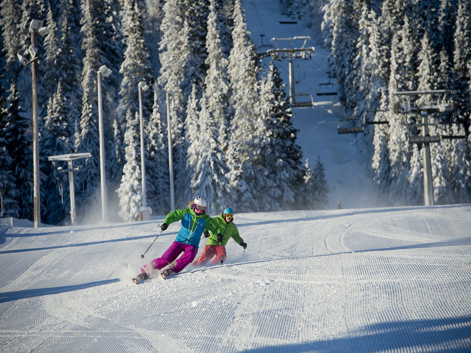 Skigebied