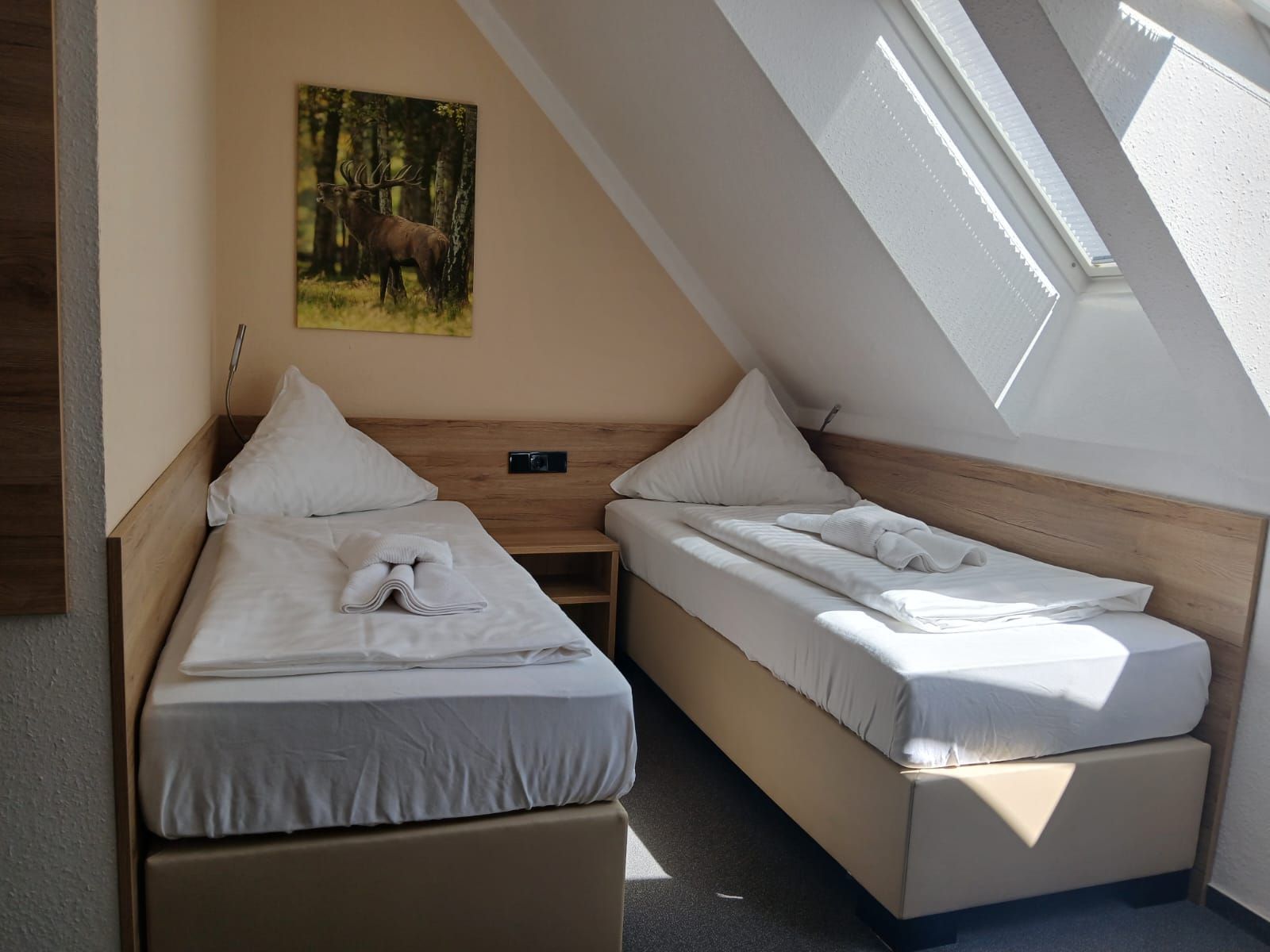 Kamer