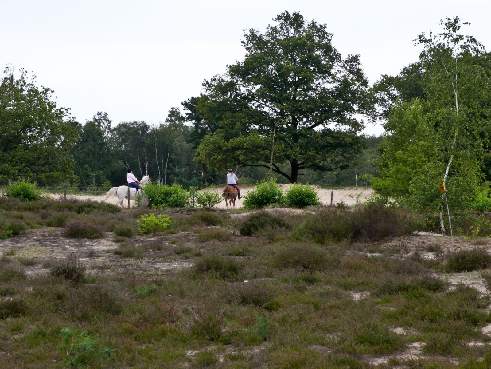 Ligging van het hotel