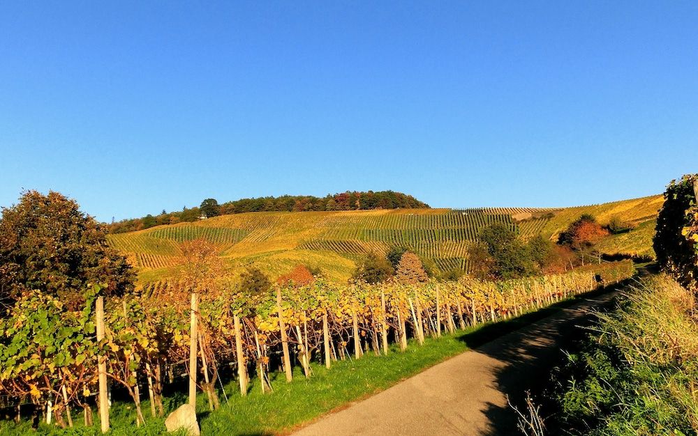 Algemeen
