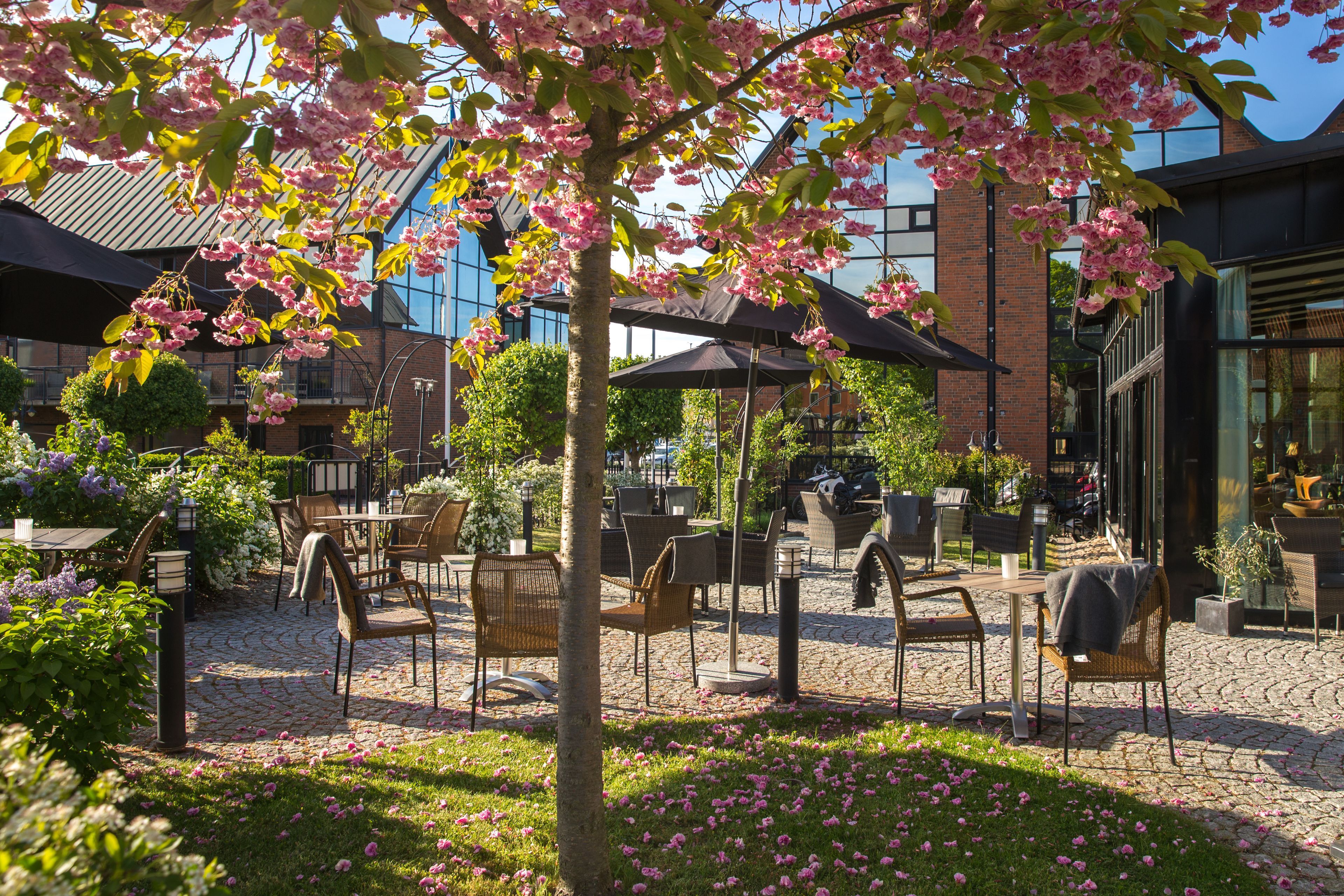 Ligging van het hotel