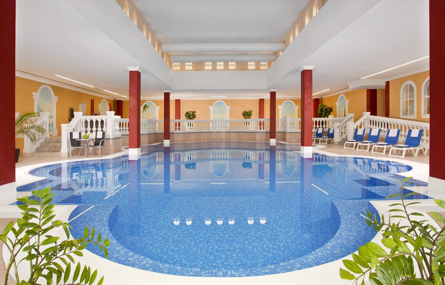 Wellness