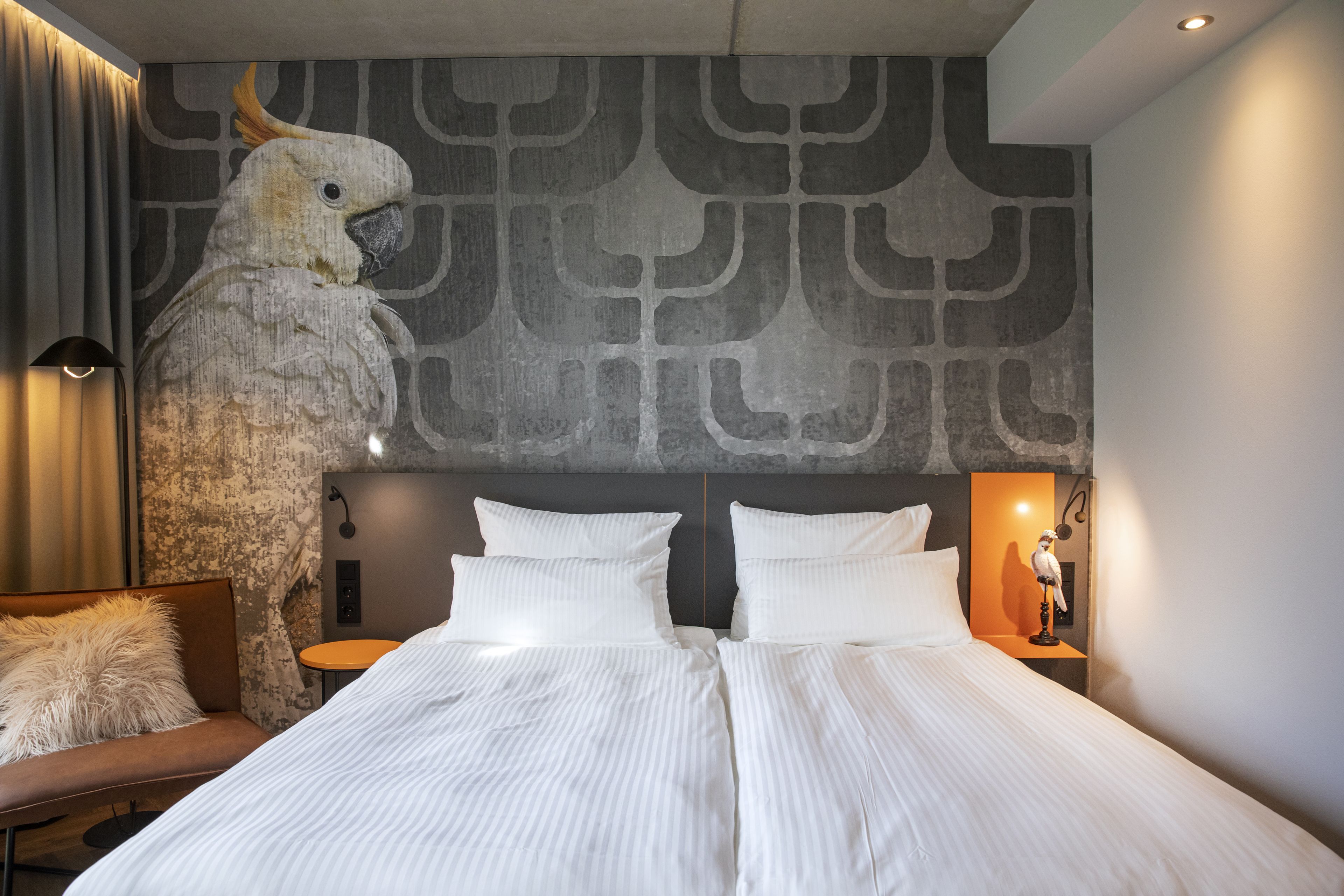 Kamer