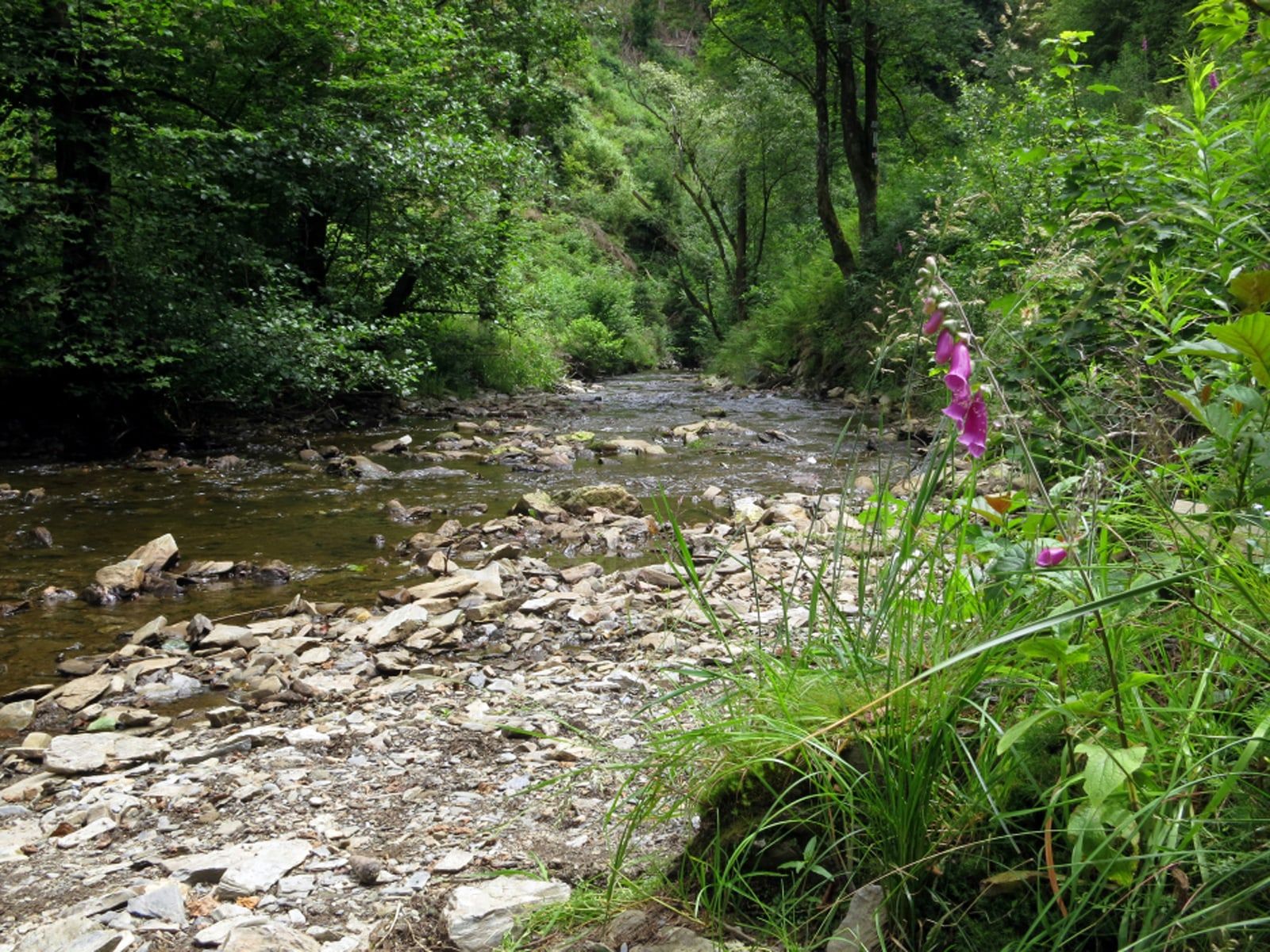 Ligging van het hotel