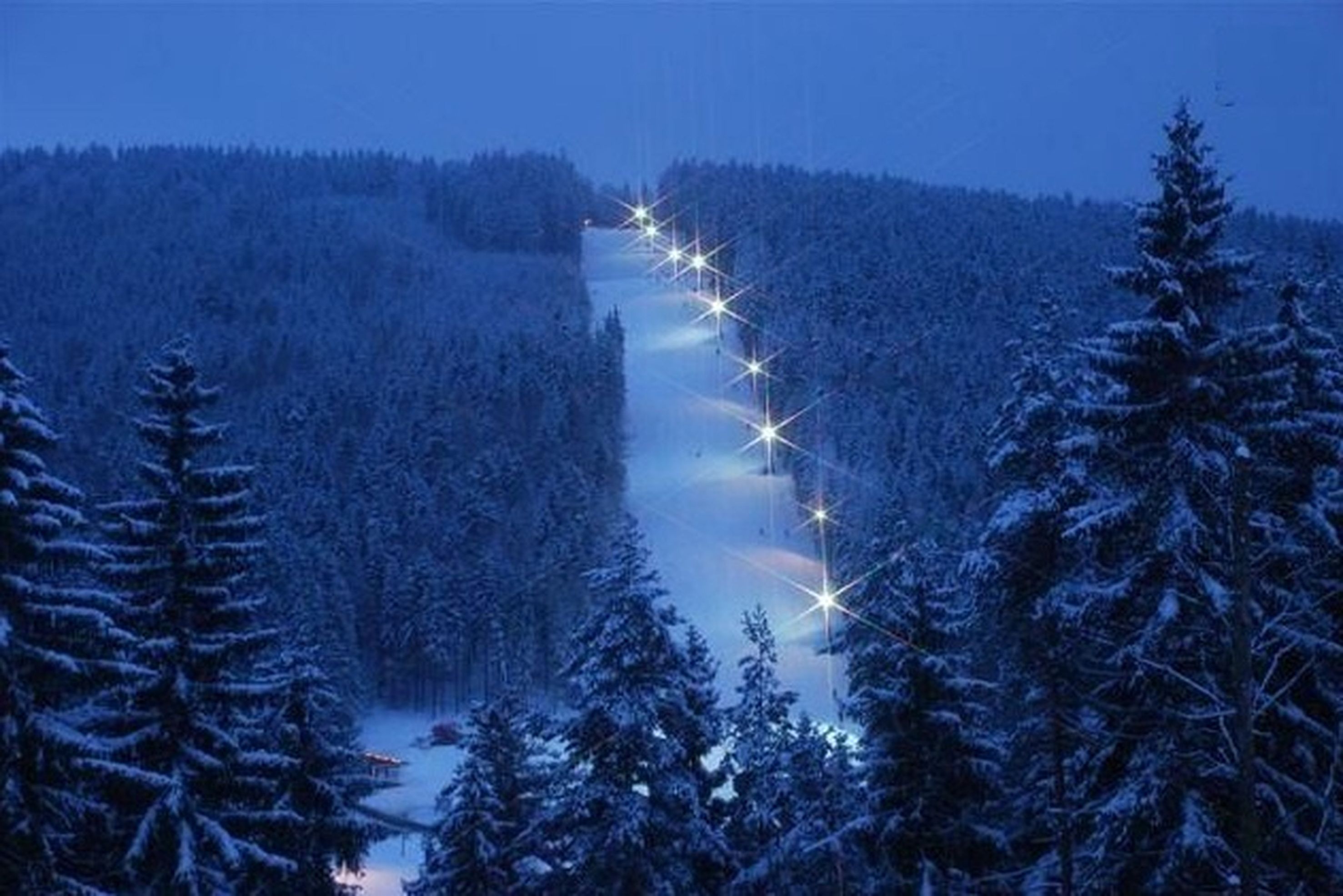 Skigebied