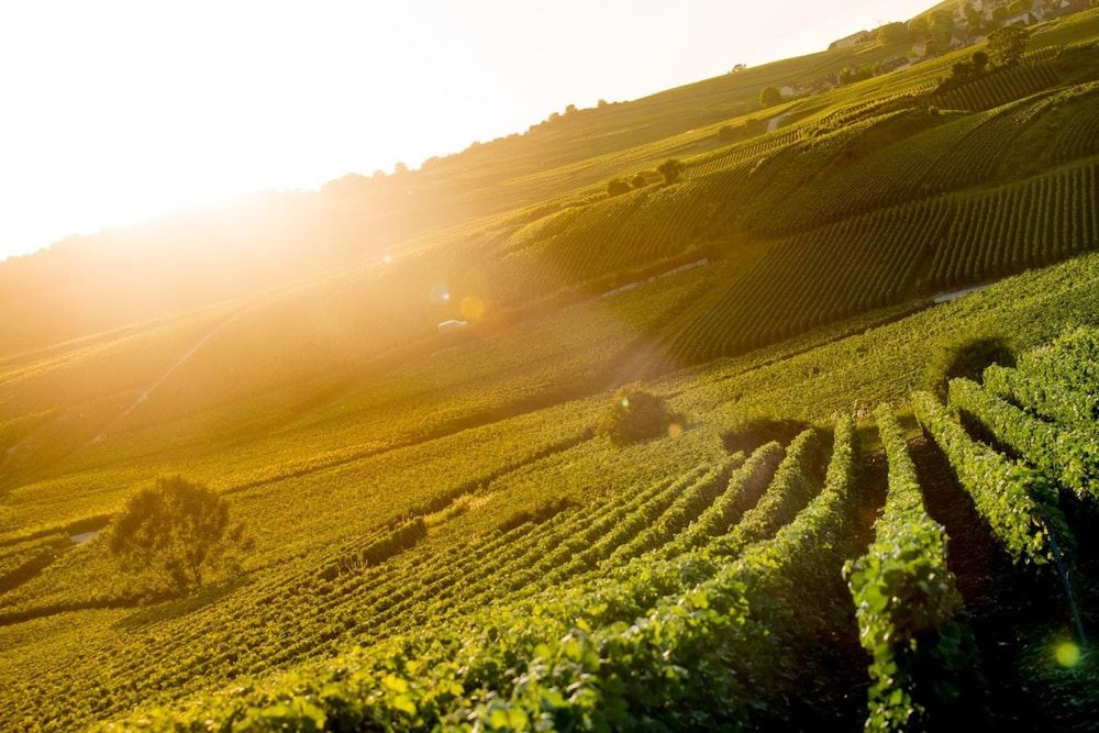 Algemeen