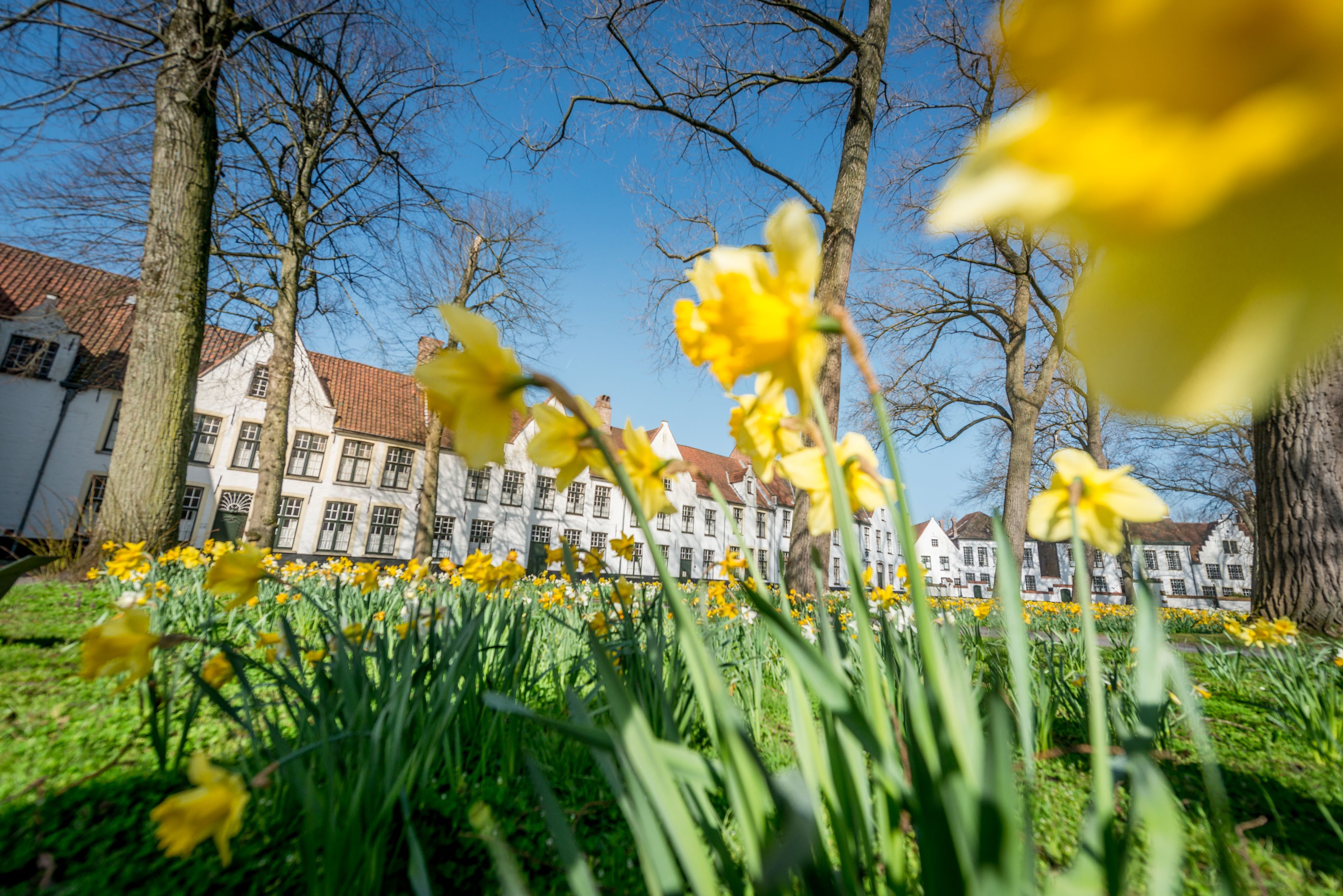 Ligging van het hotel