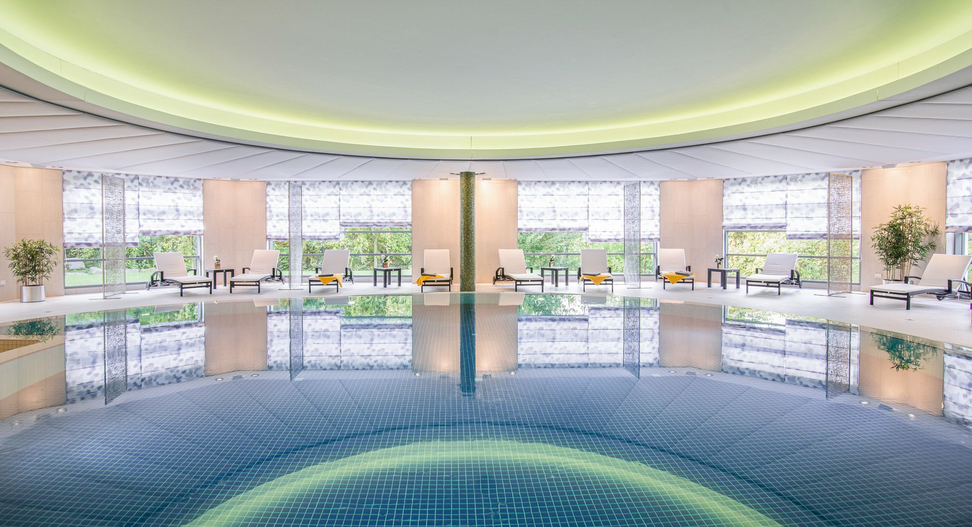 Wellness
