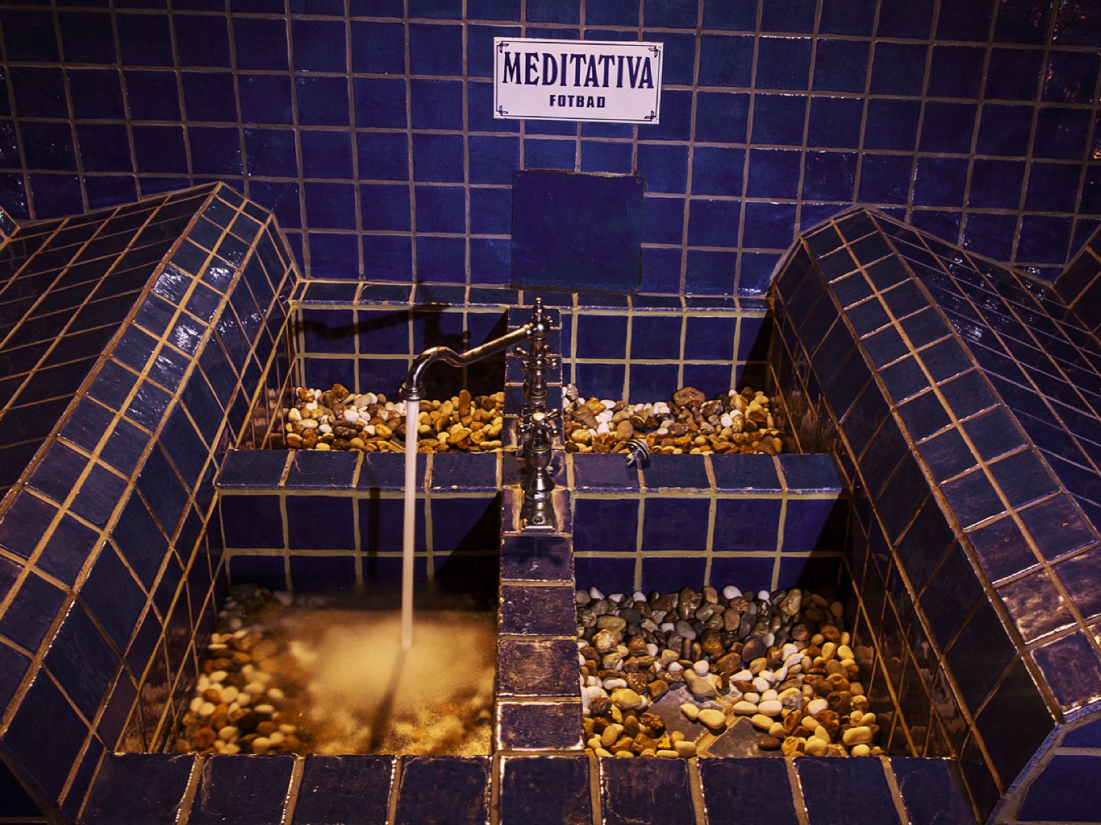 Wellness