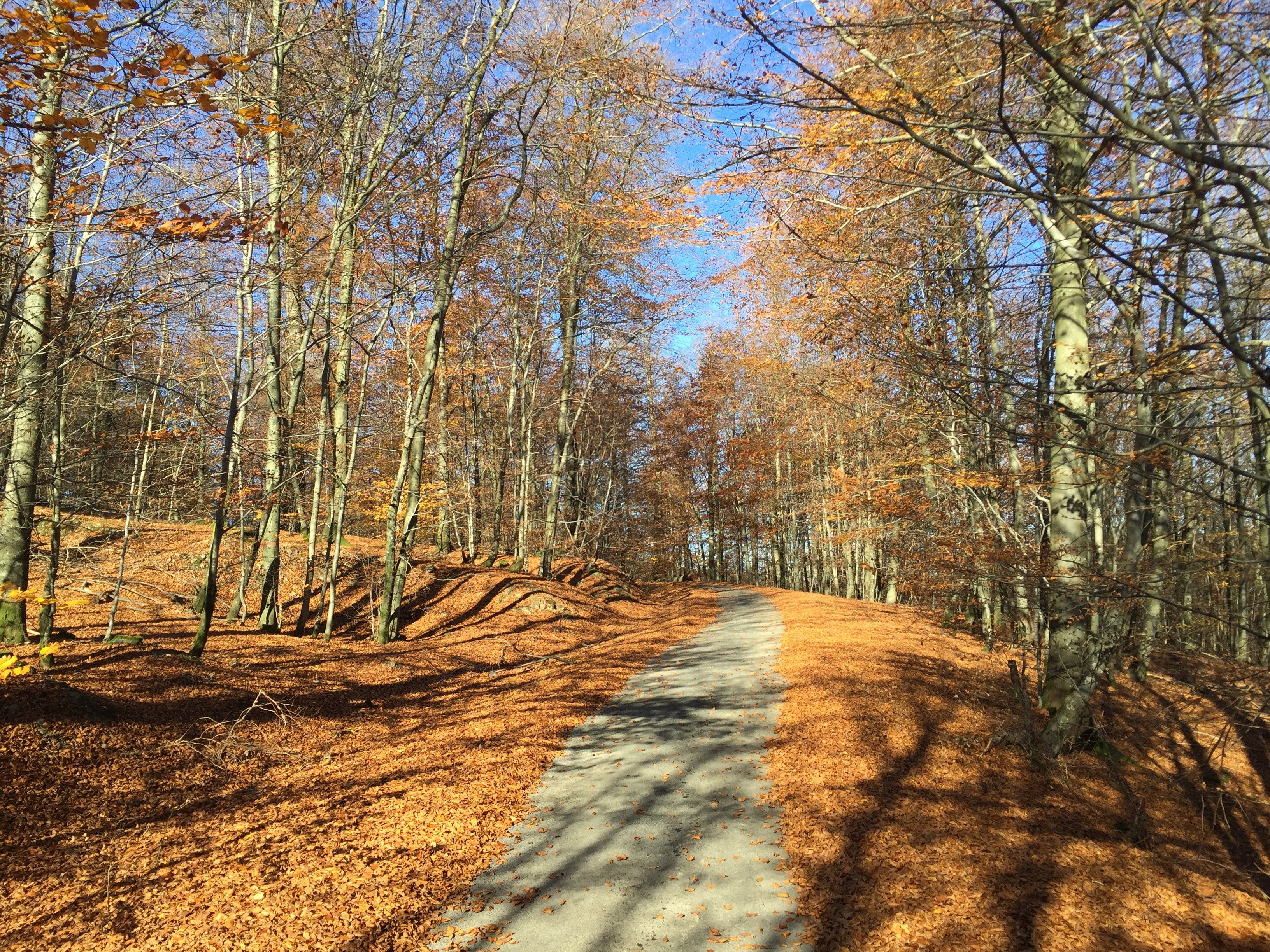 Ligging van het hotel