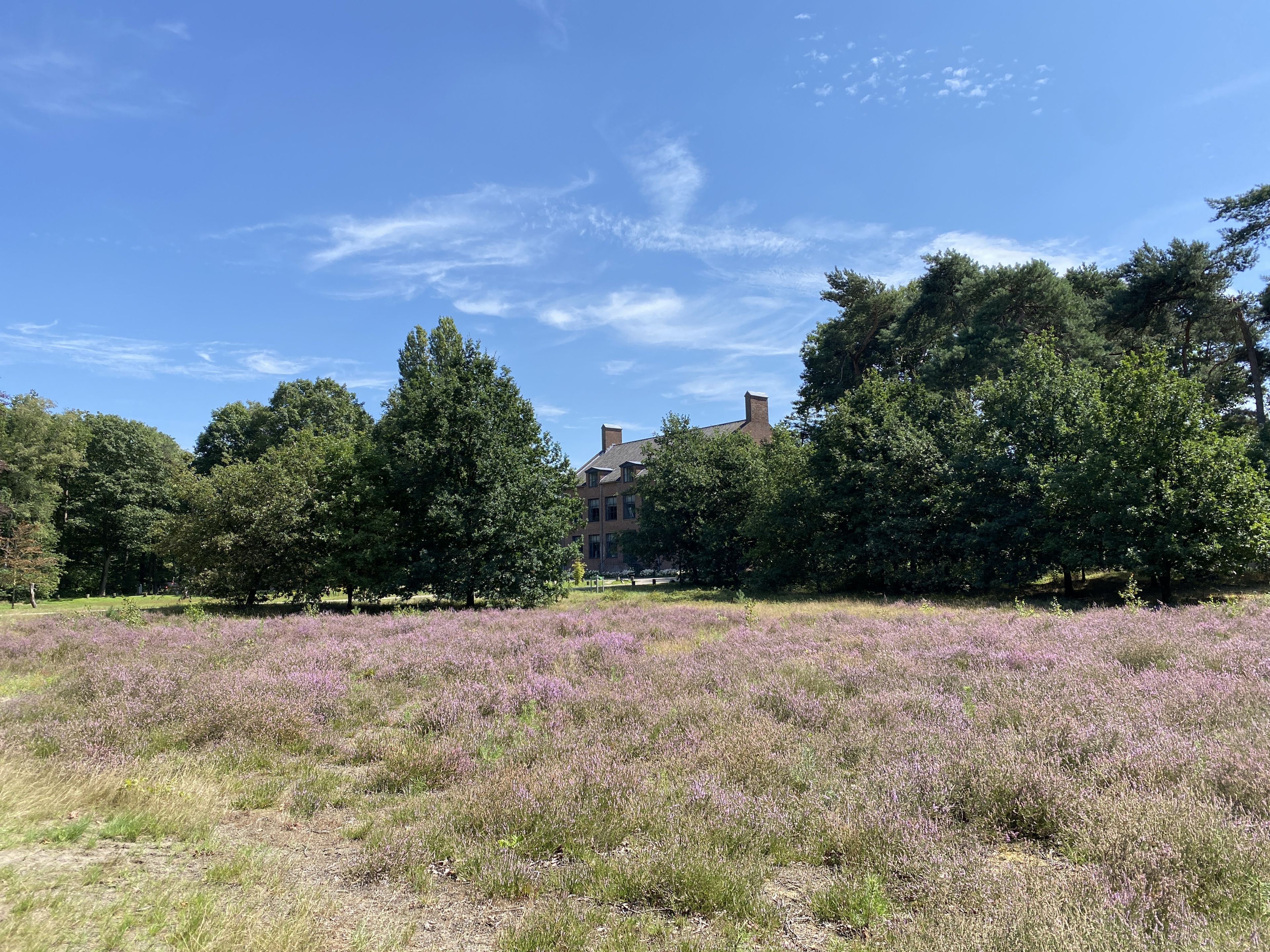 Ligging van het hotel