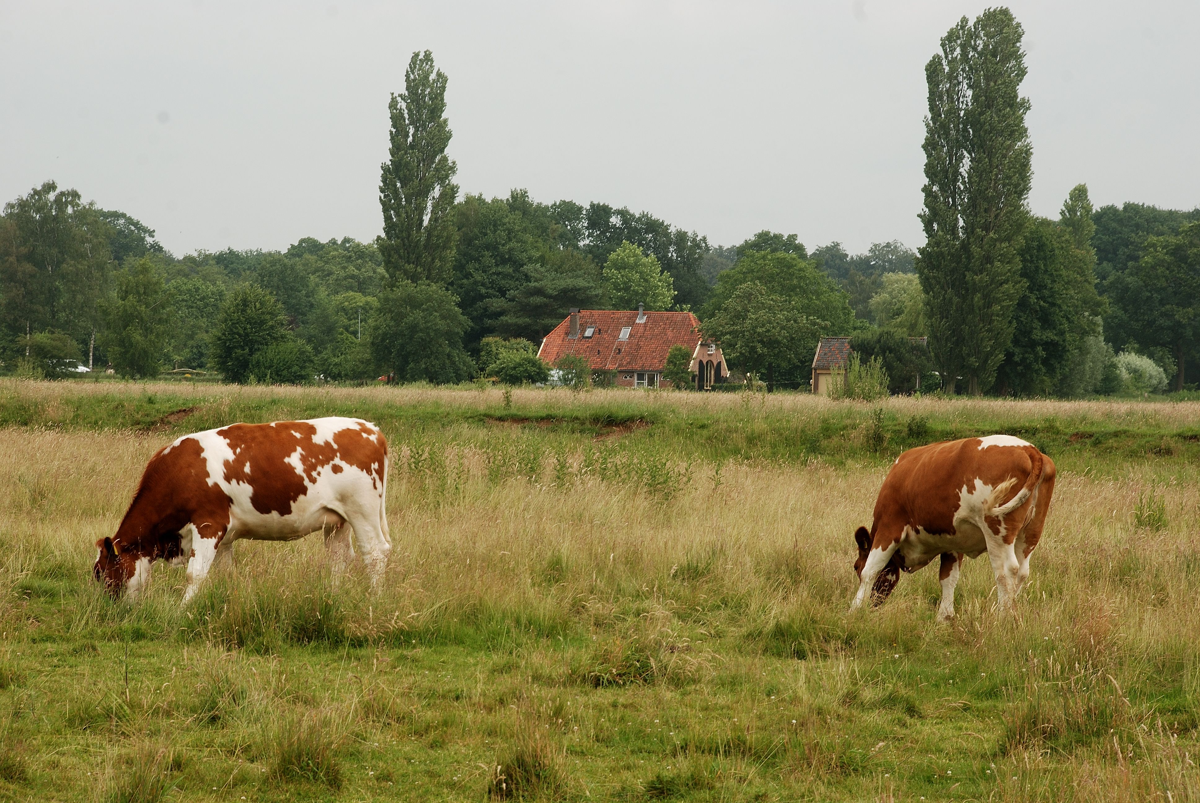 Ligging van het hotel