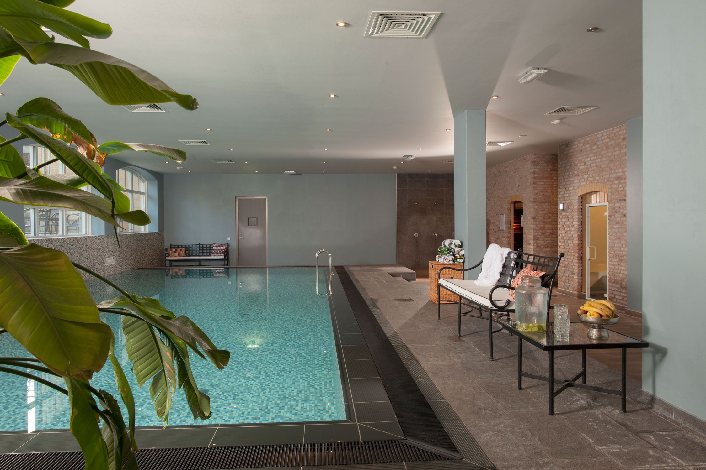 Wellness