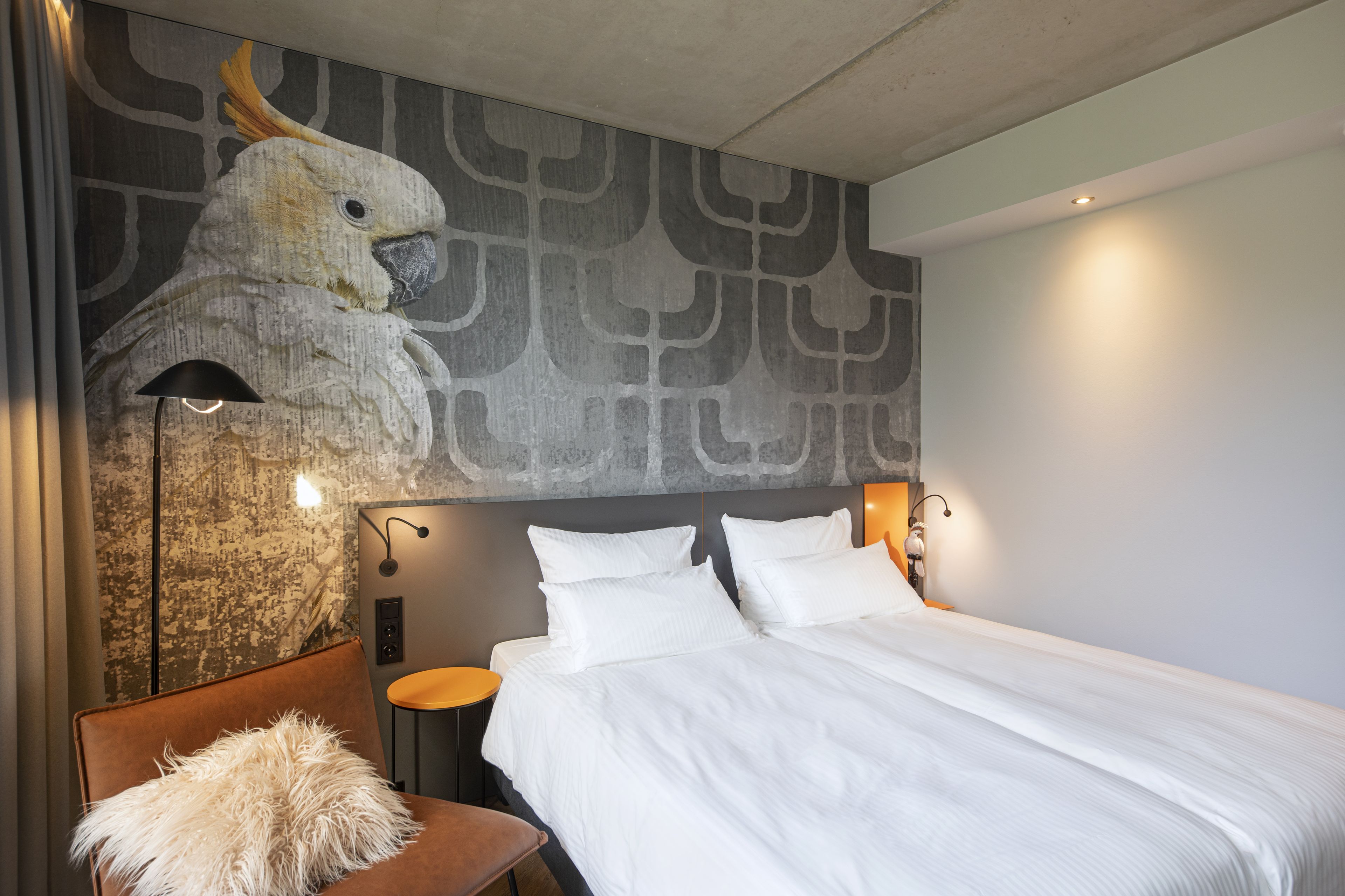 Kamer