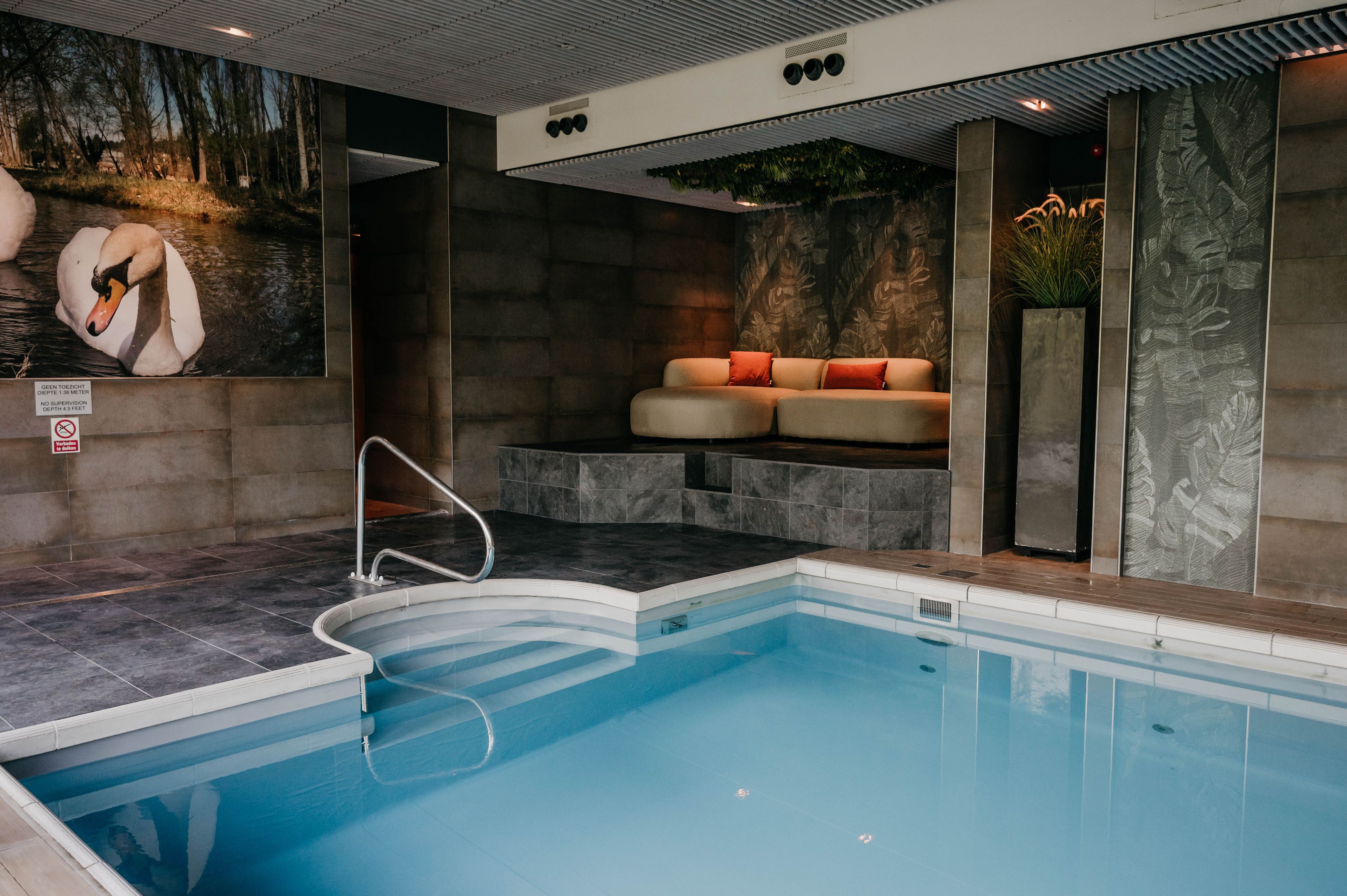 Wellness
