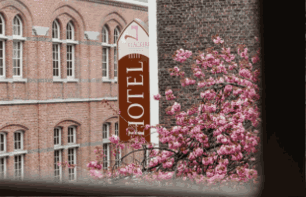 Historic Hotels