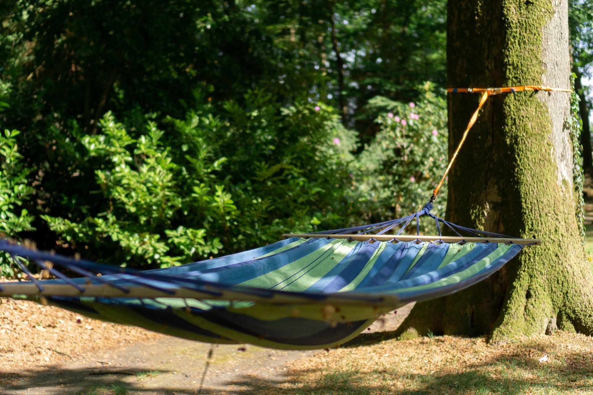 Ligging van het hotel