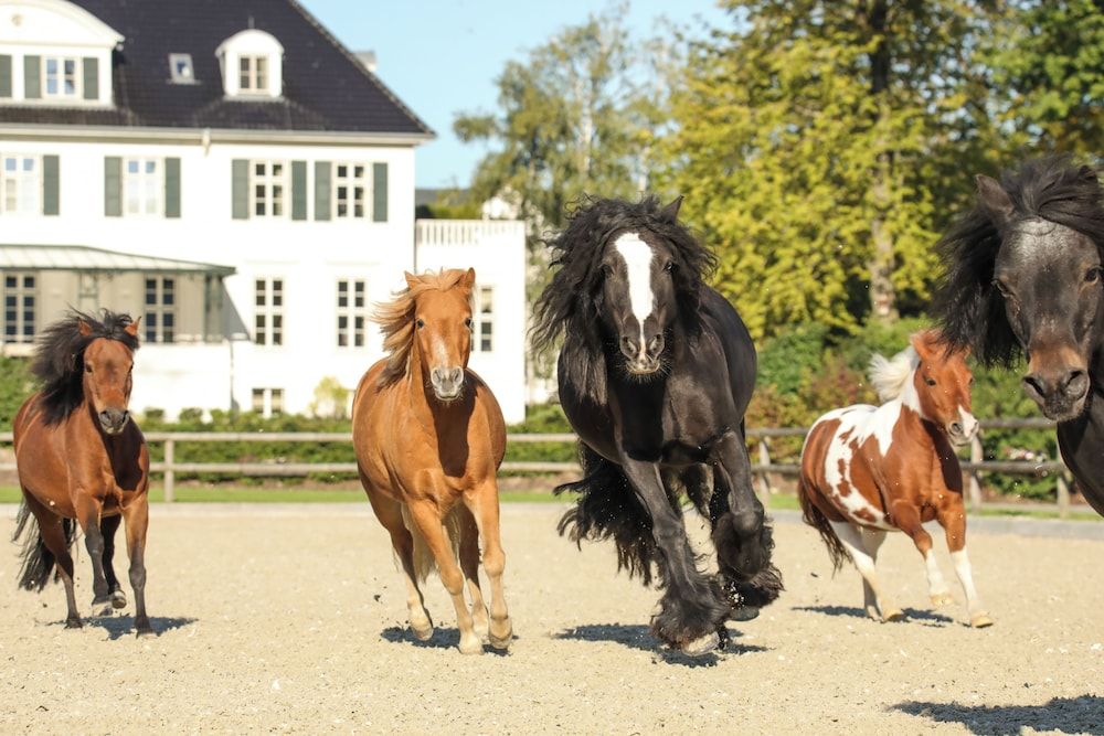Algemeen