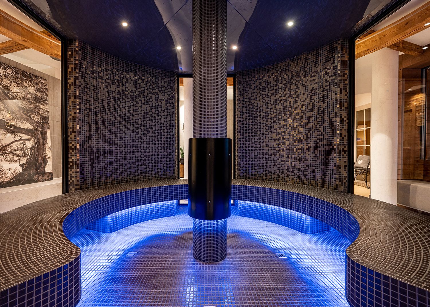 Wellness