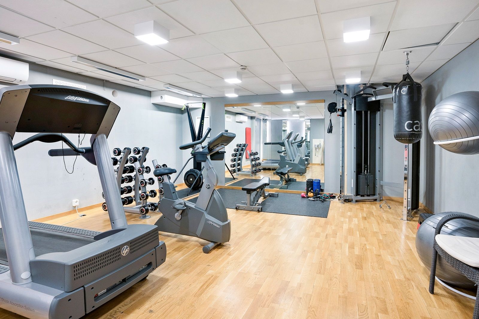 Wellness