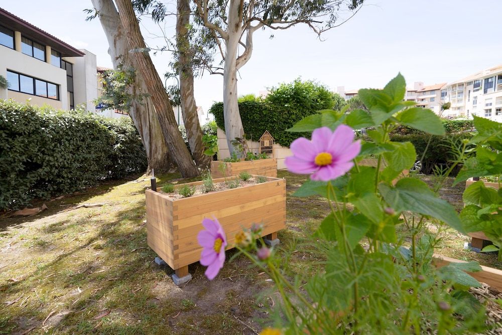 Algemeen