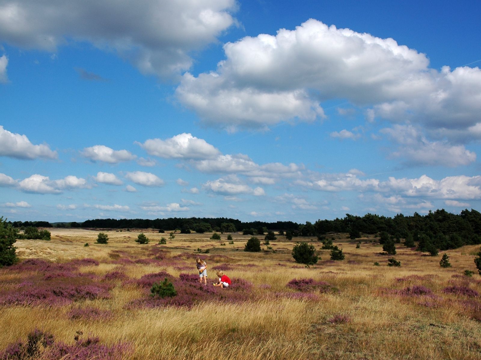 Ligging van het hotel