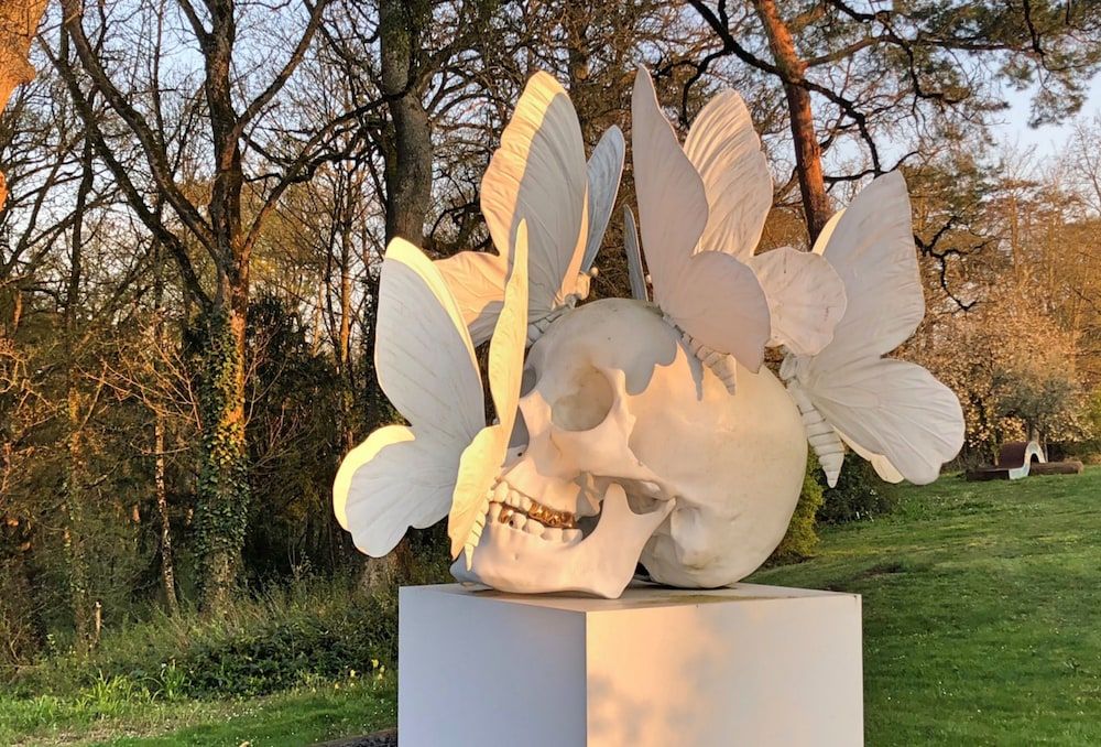 Algemeen