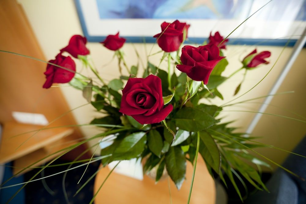 Algemeen