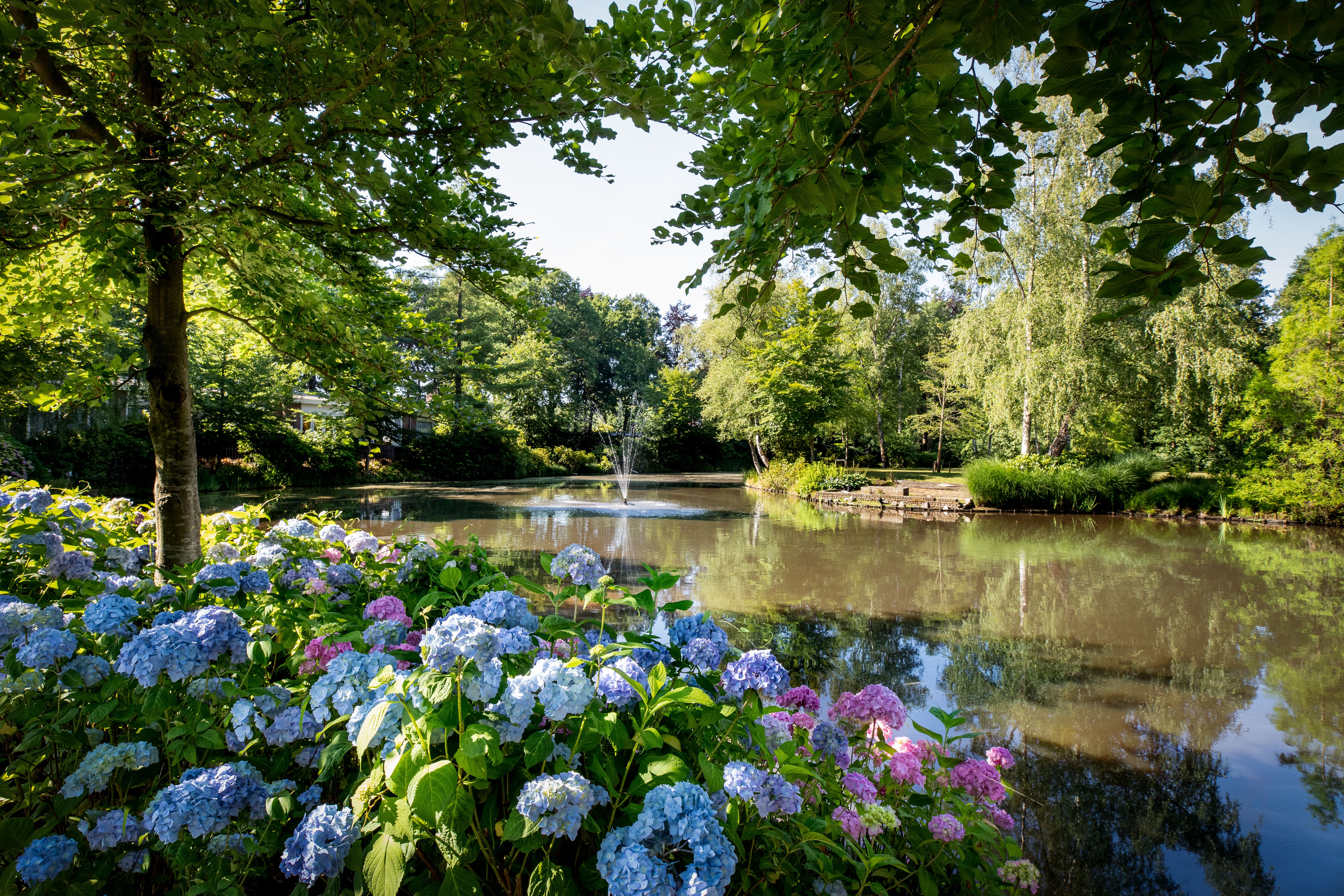 Ligging van het hotel
