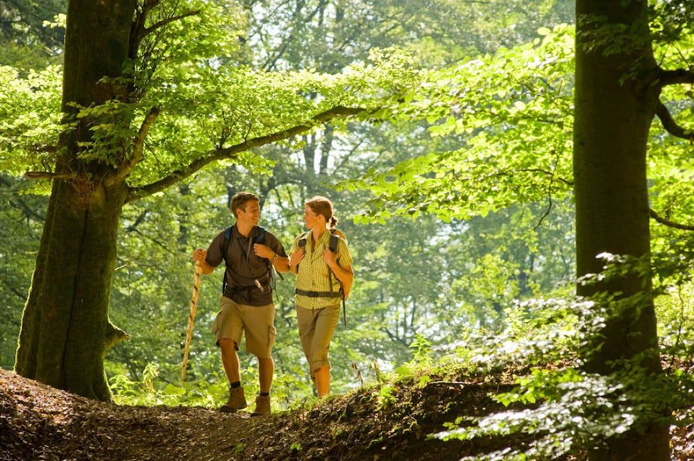 Algemeen