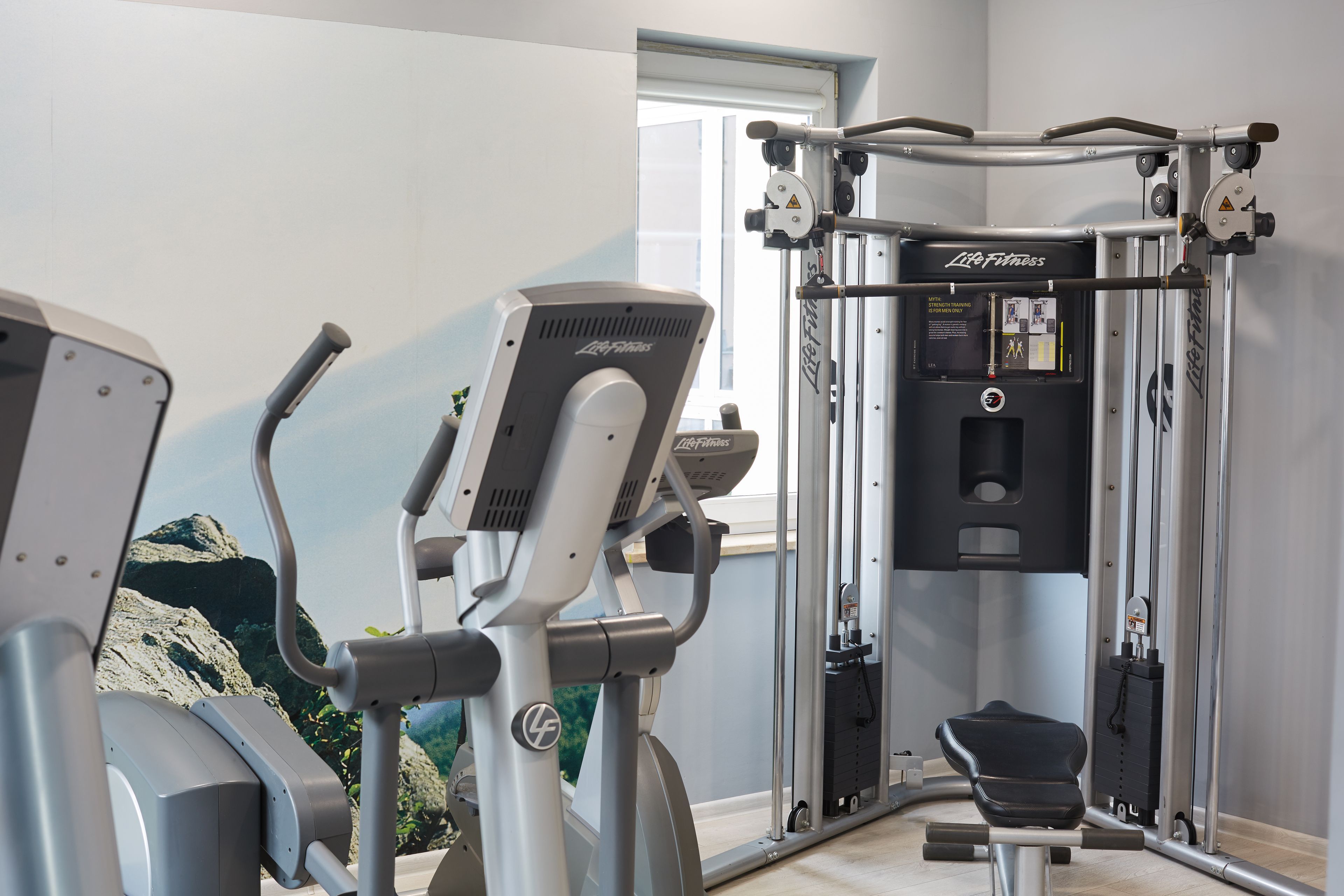 Wellness