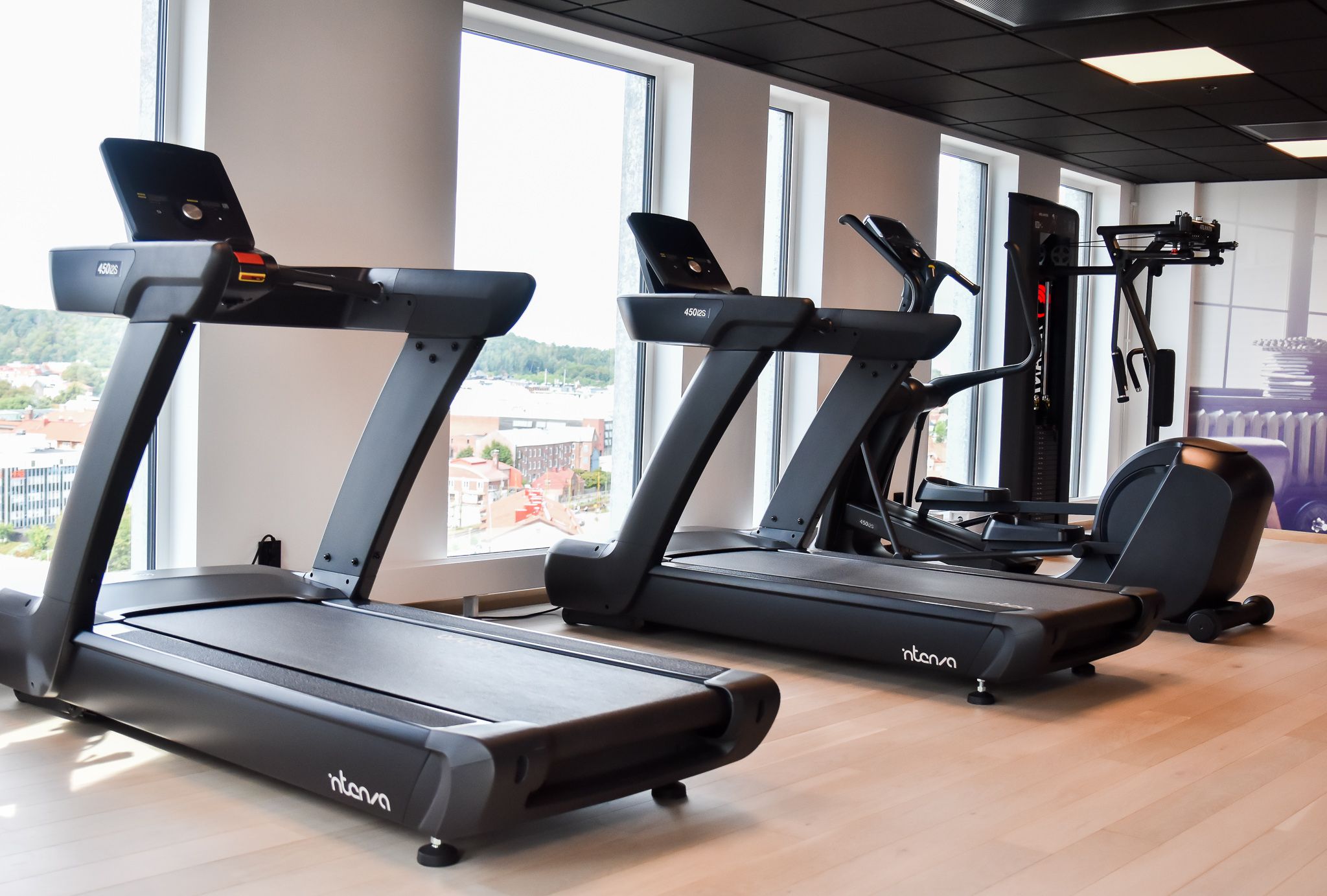 Wellness