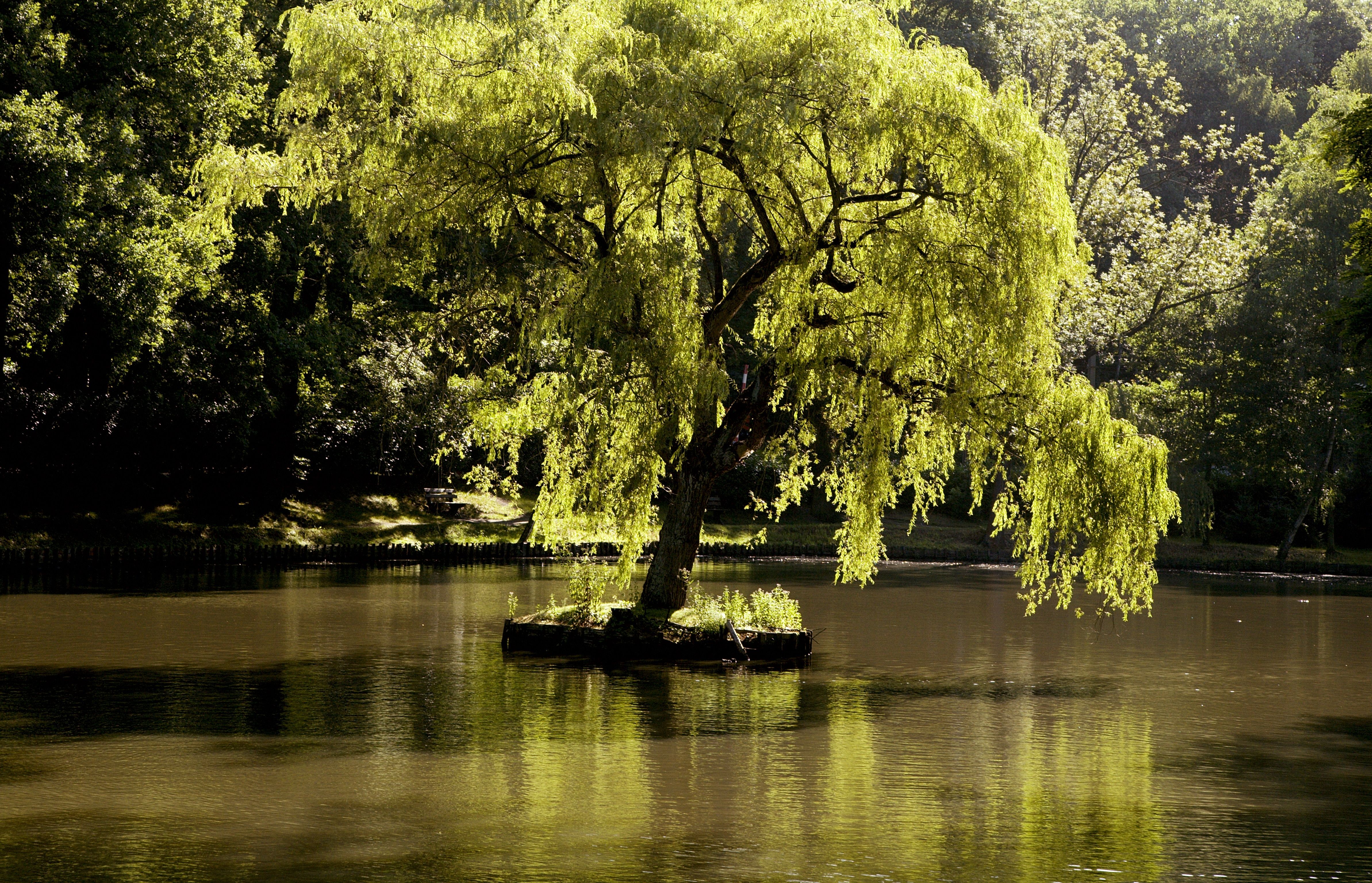 Ligging van het hotel